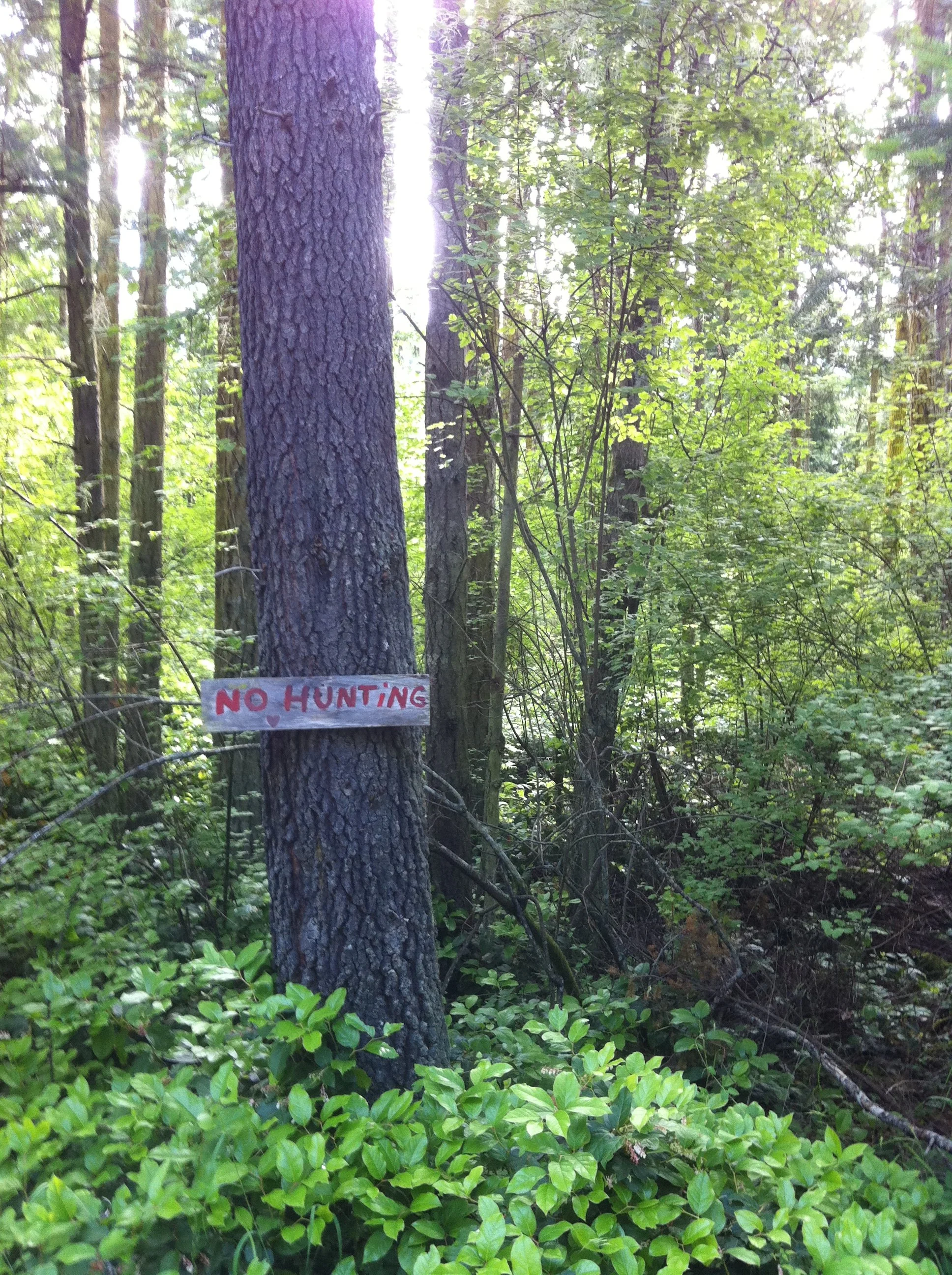 IMG_1362.JPG