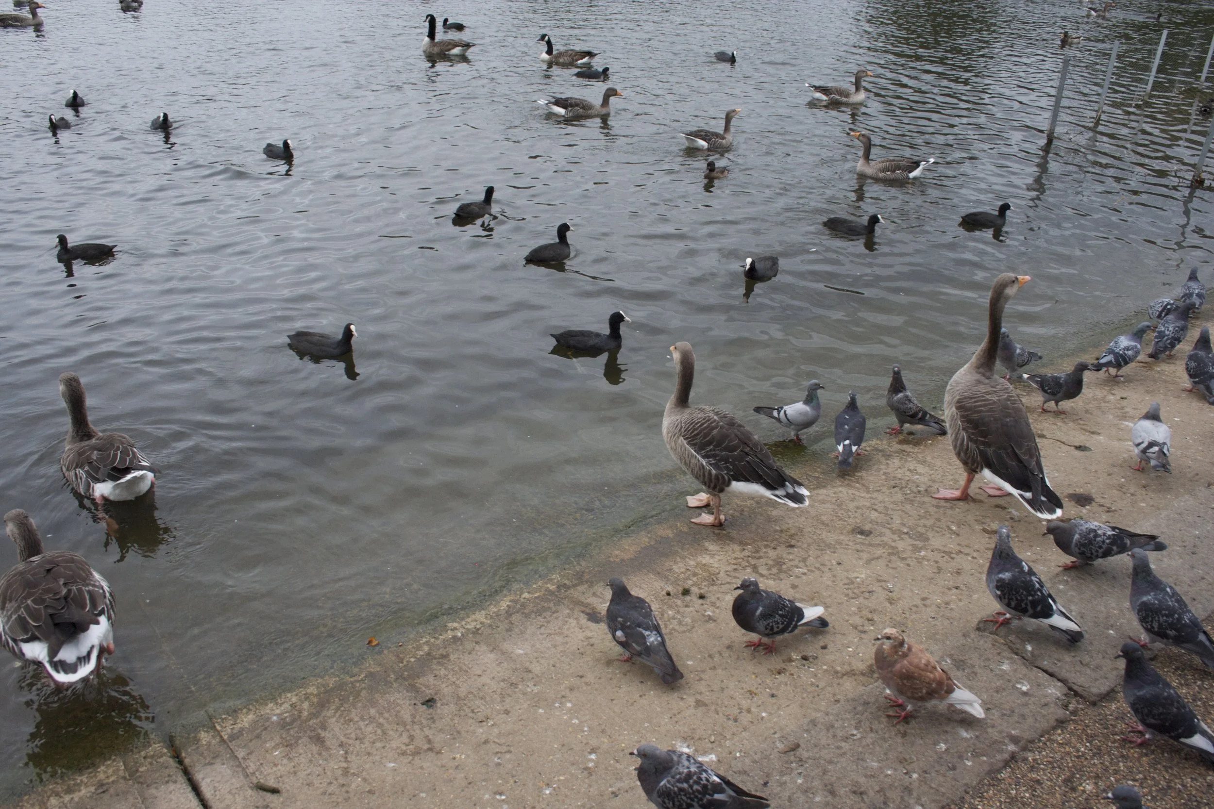 IMG_2884.jpeg