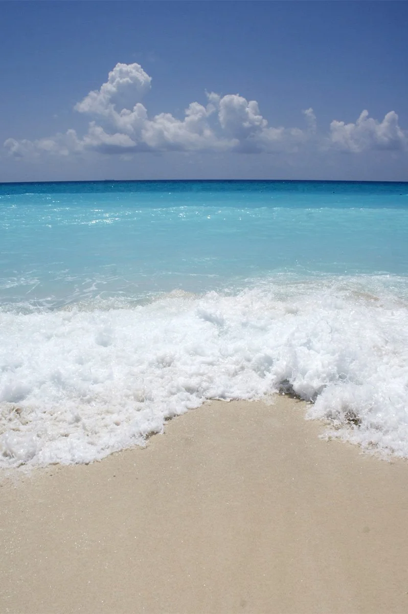 IMG_1923.jpg