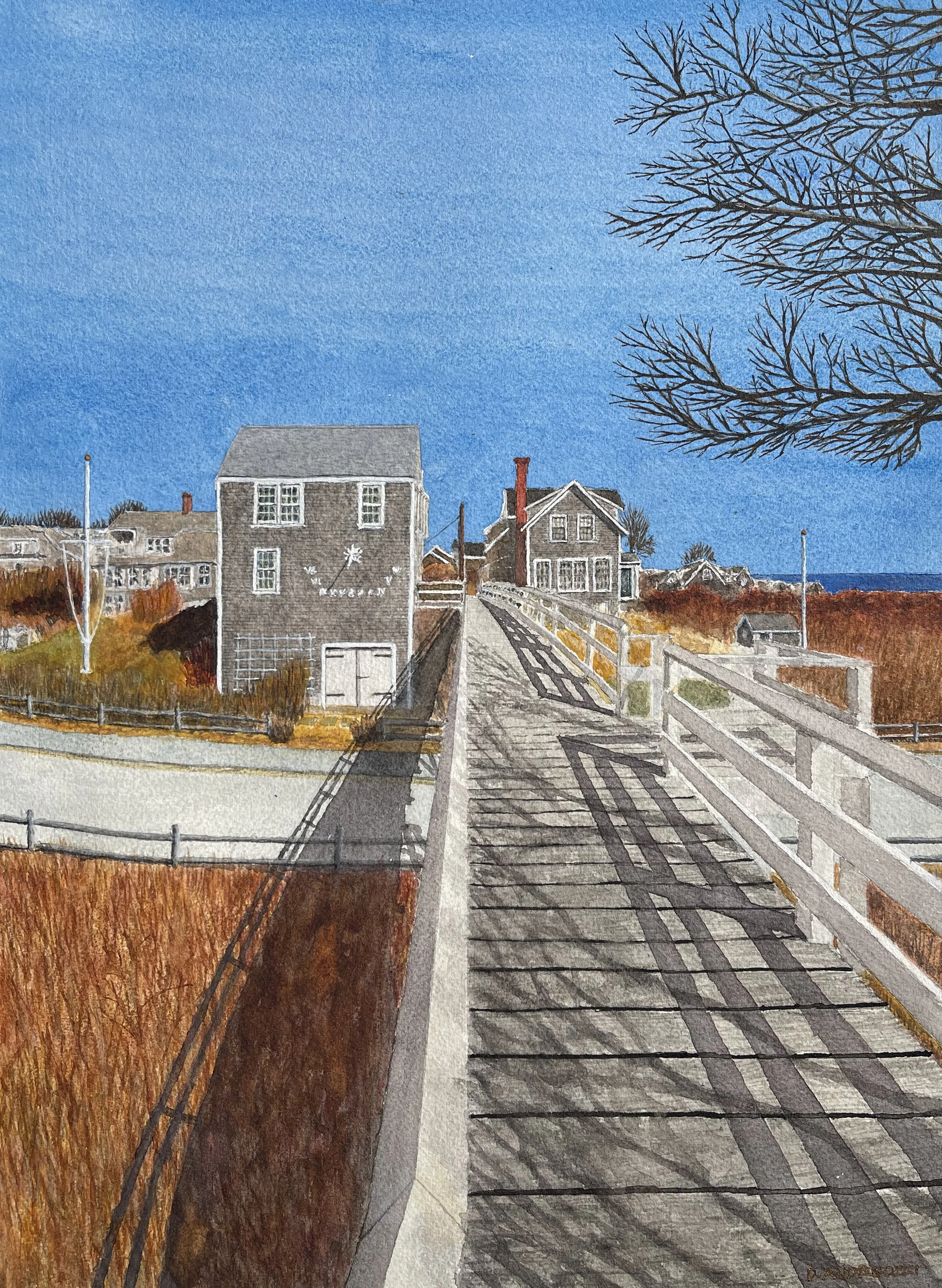 Winter in Siasconset ‘26 | Nantucket, Ma