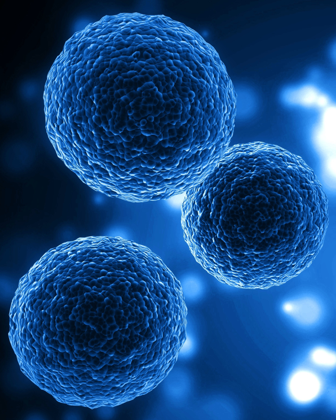 what is stem cell therapy
