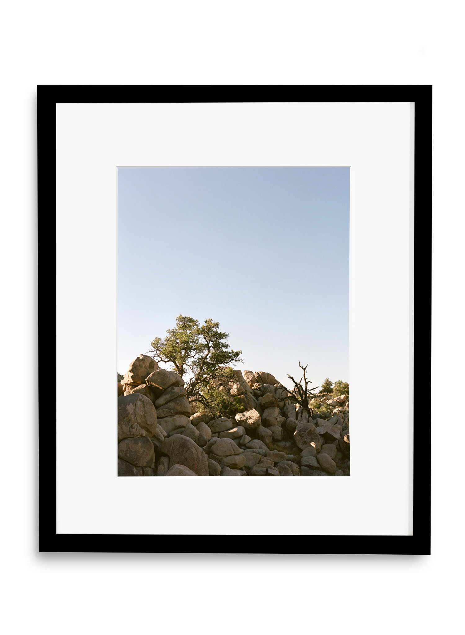 juniper-season-black.jpg