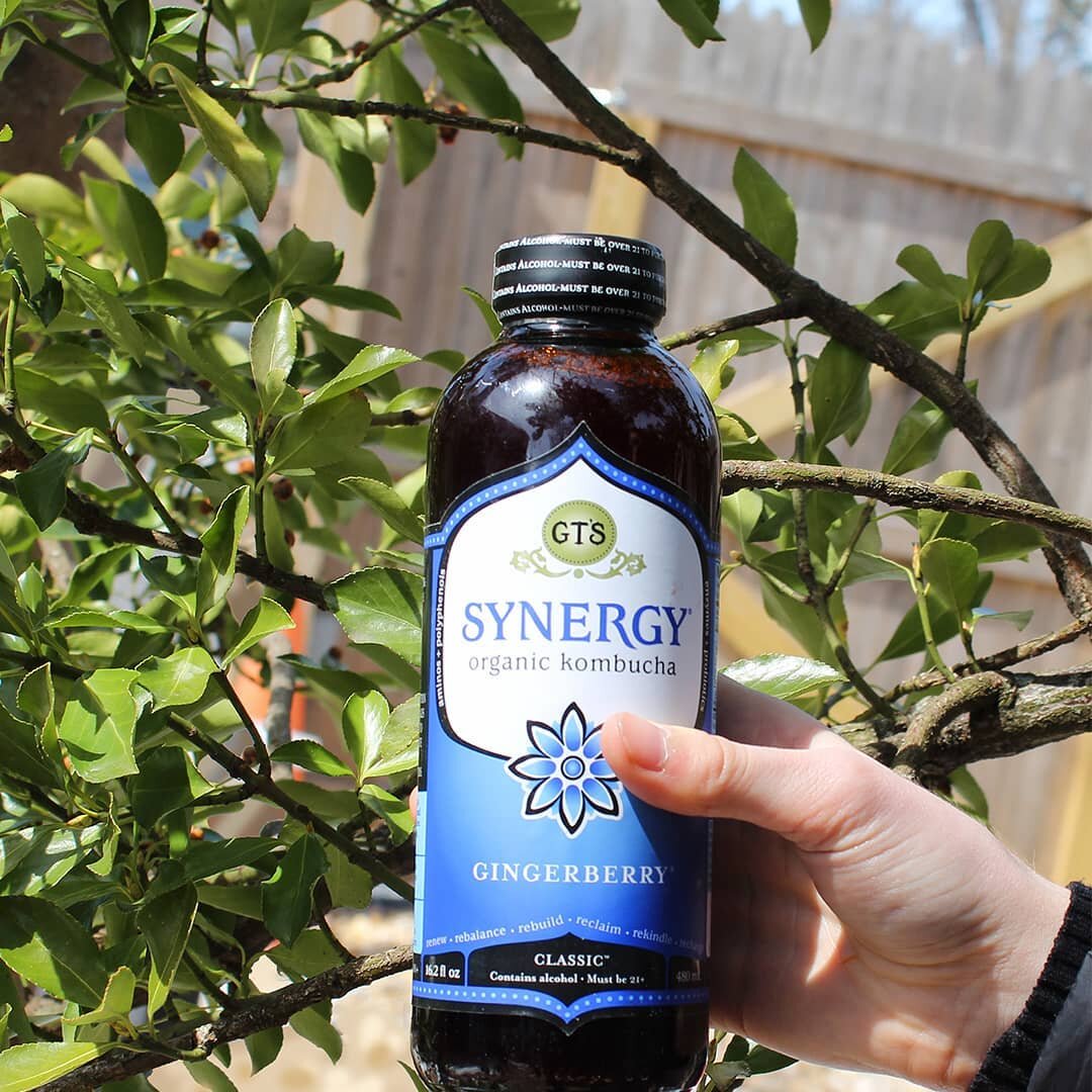 Put away the raw eggs and protein powder. Our @Gtskombucha is as healthy as it is tasty! 😋💪