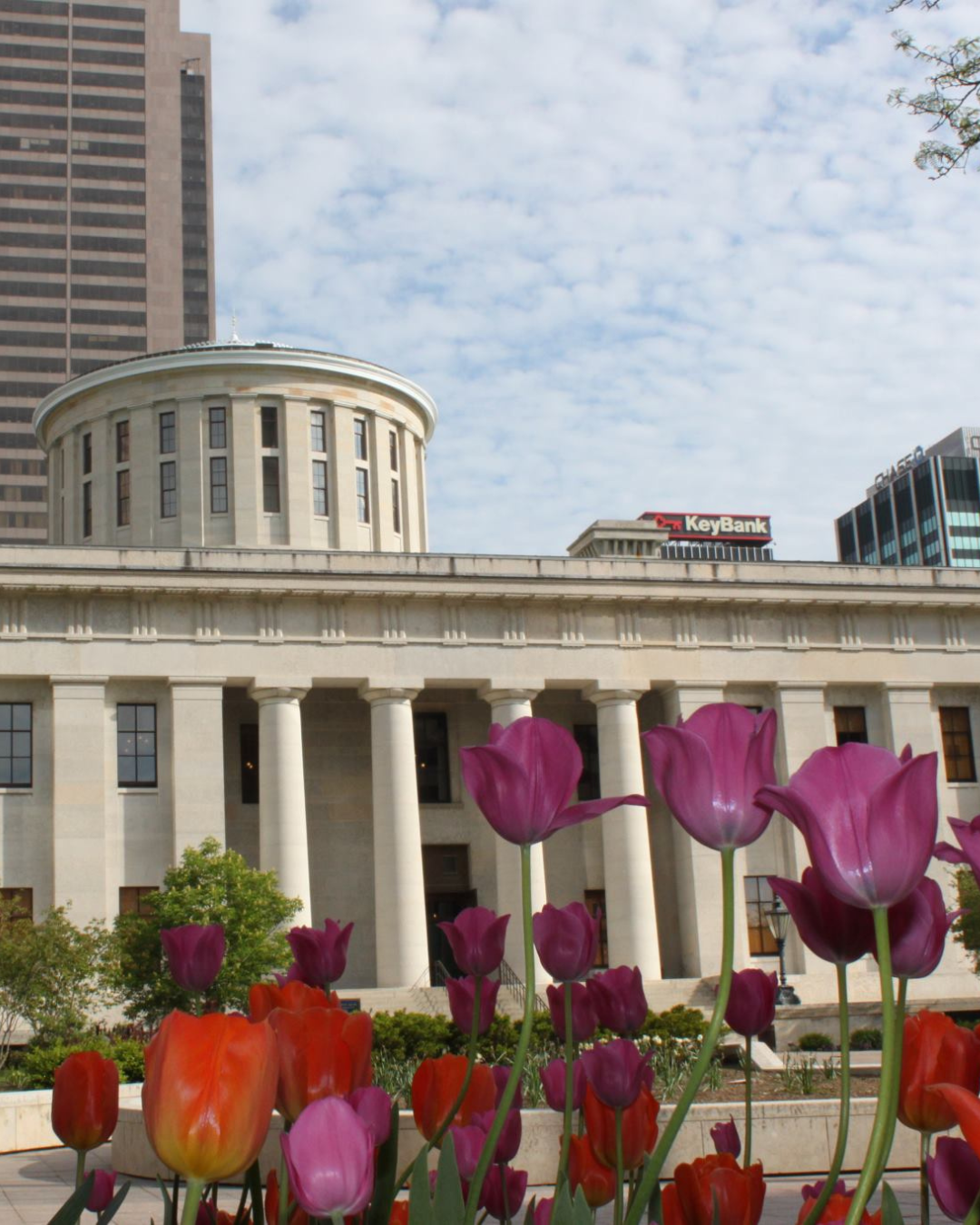 Downtown Columbus Inc (5).png