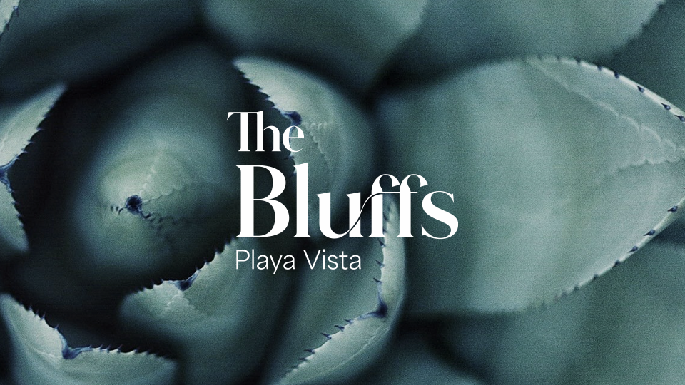 Lincoln_TheBluffs_StaffMeeting (2).png