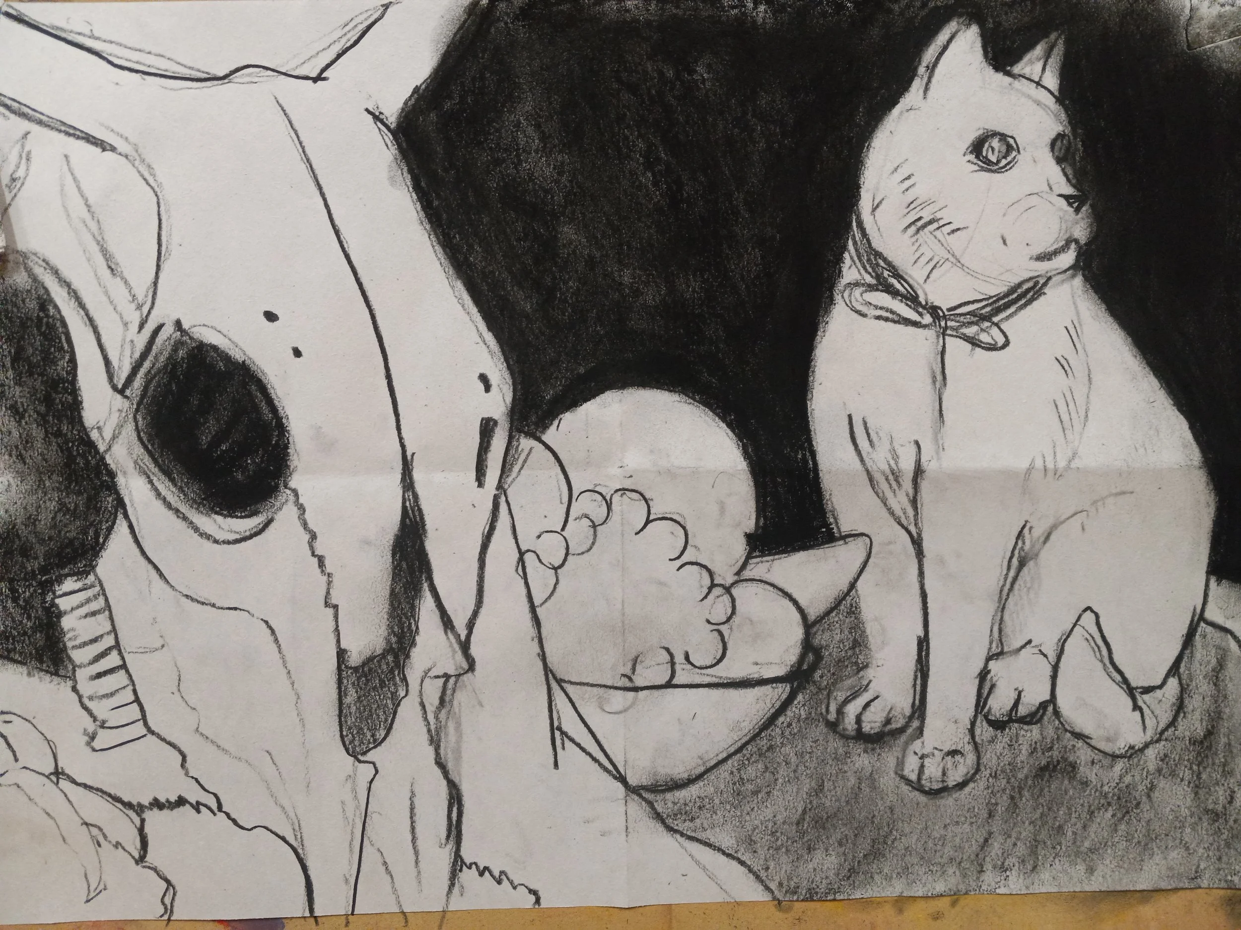 20220119_203523.jpg (Copy)