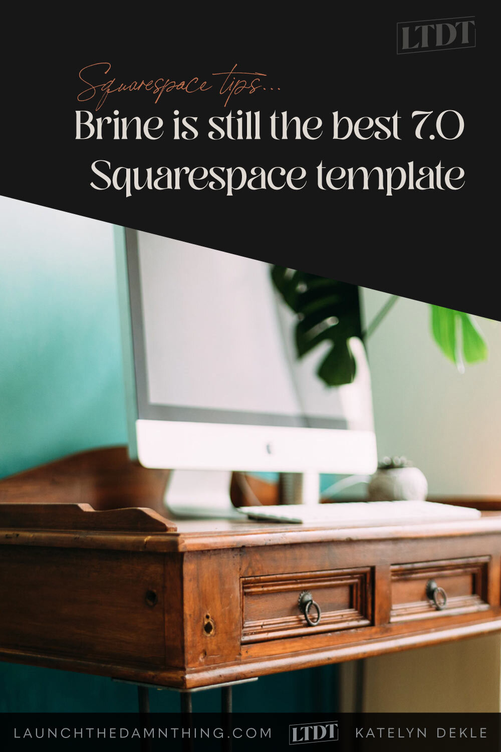 lidelse snap krabbe The Brine Family are still the best Squarespace 7.0 templates ▪️ Launch the  Damn Thing! | Squarespace Website Designer