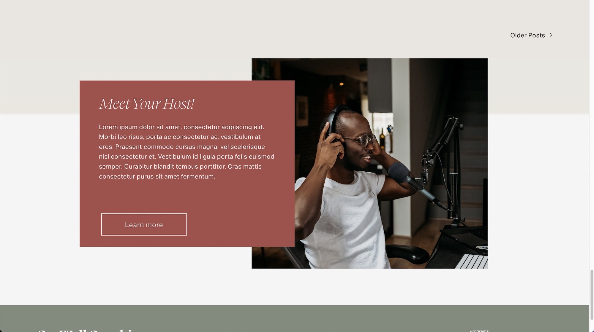 Blog page - placing a mini-bio (or CTA) beneath the feed