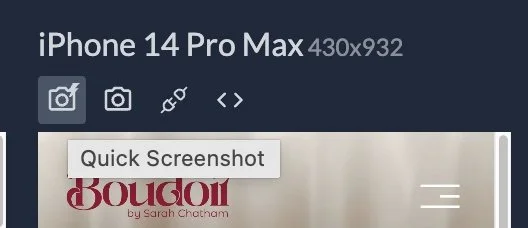   taking a quick screenshot of what’s visible in Responsively App  