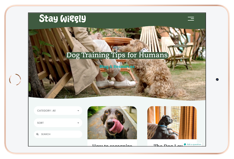 blog(iPad Mini)_ipadmini_gold_landscape.png