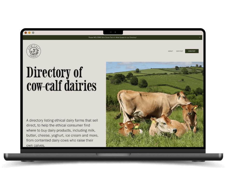Launch the Damn Thing - CCD Dairy Directory website.png