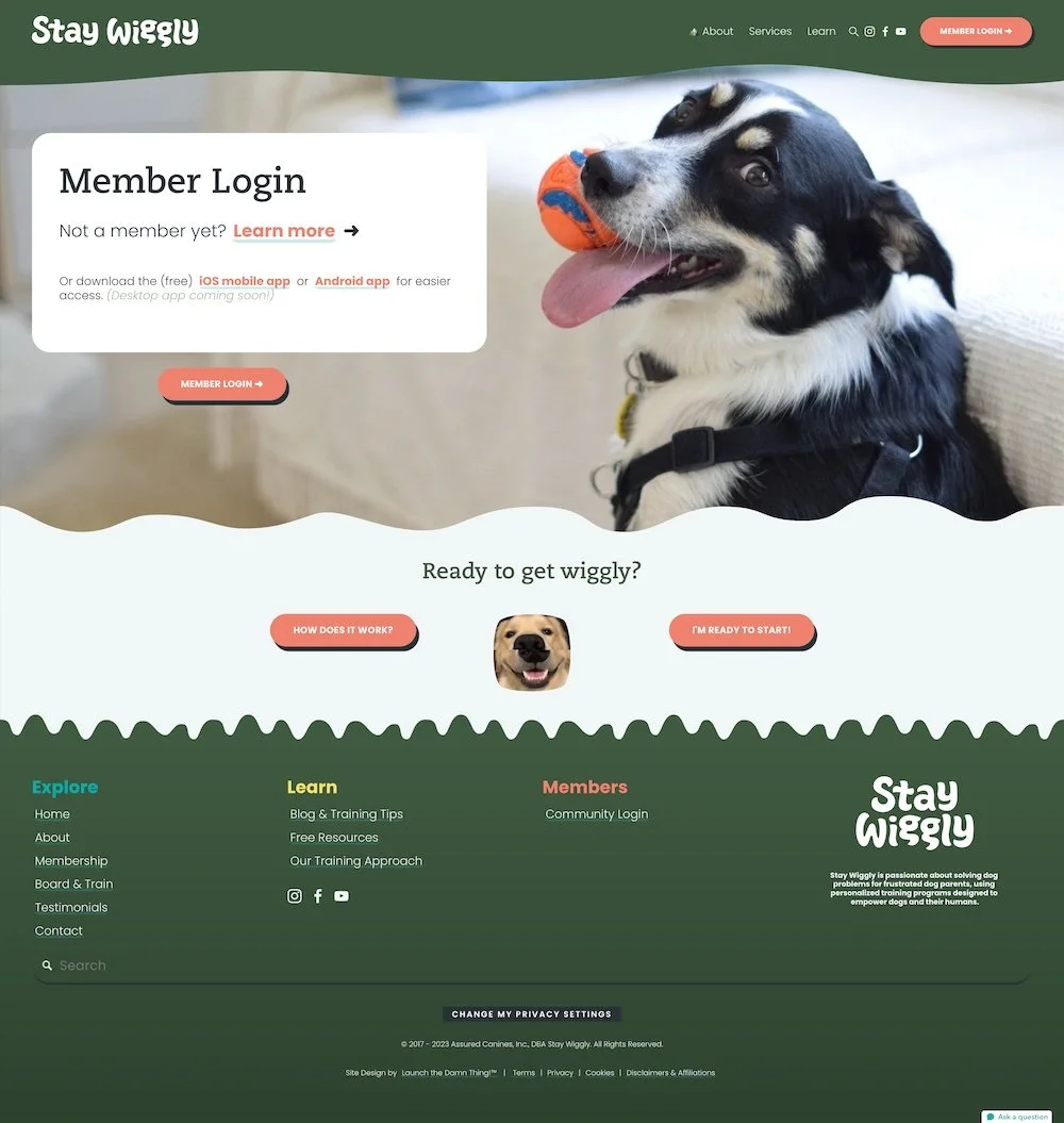 Member Login page