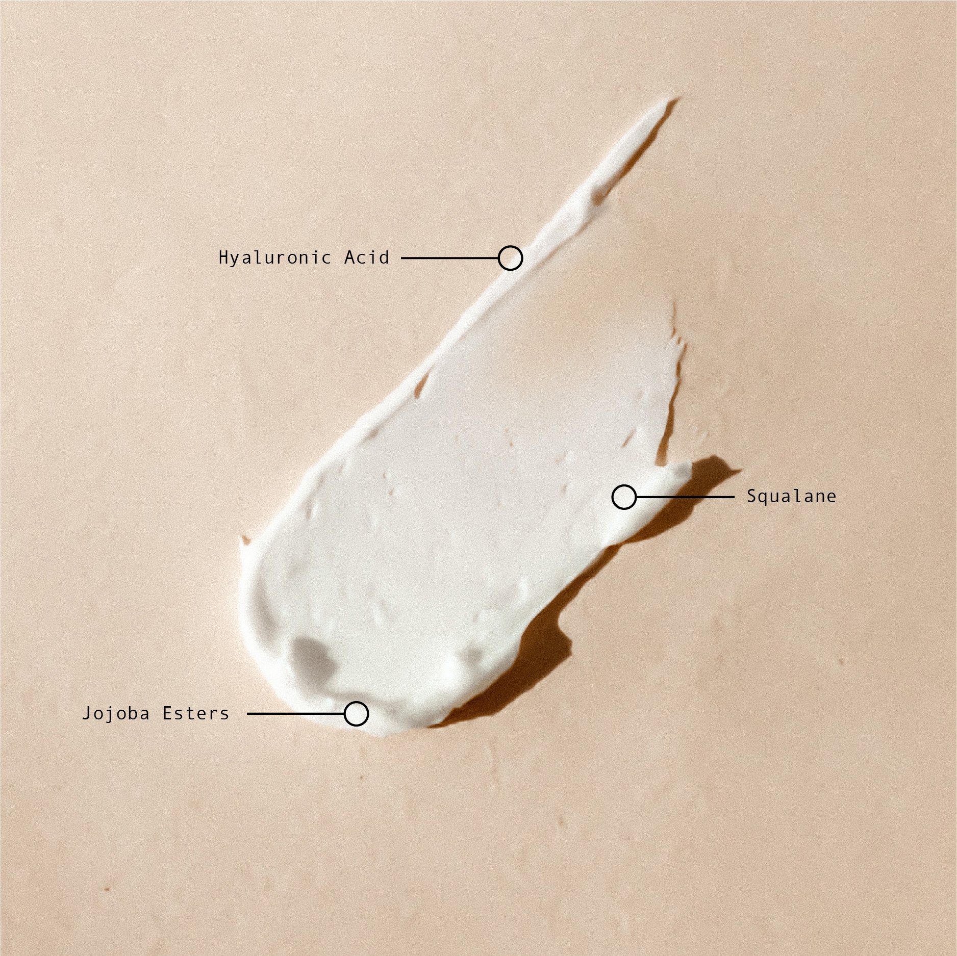 Bare-InstagramPosts-05.jpg