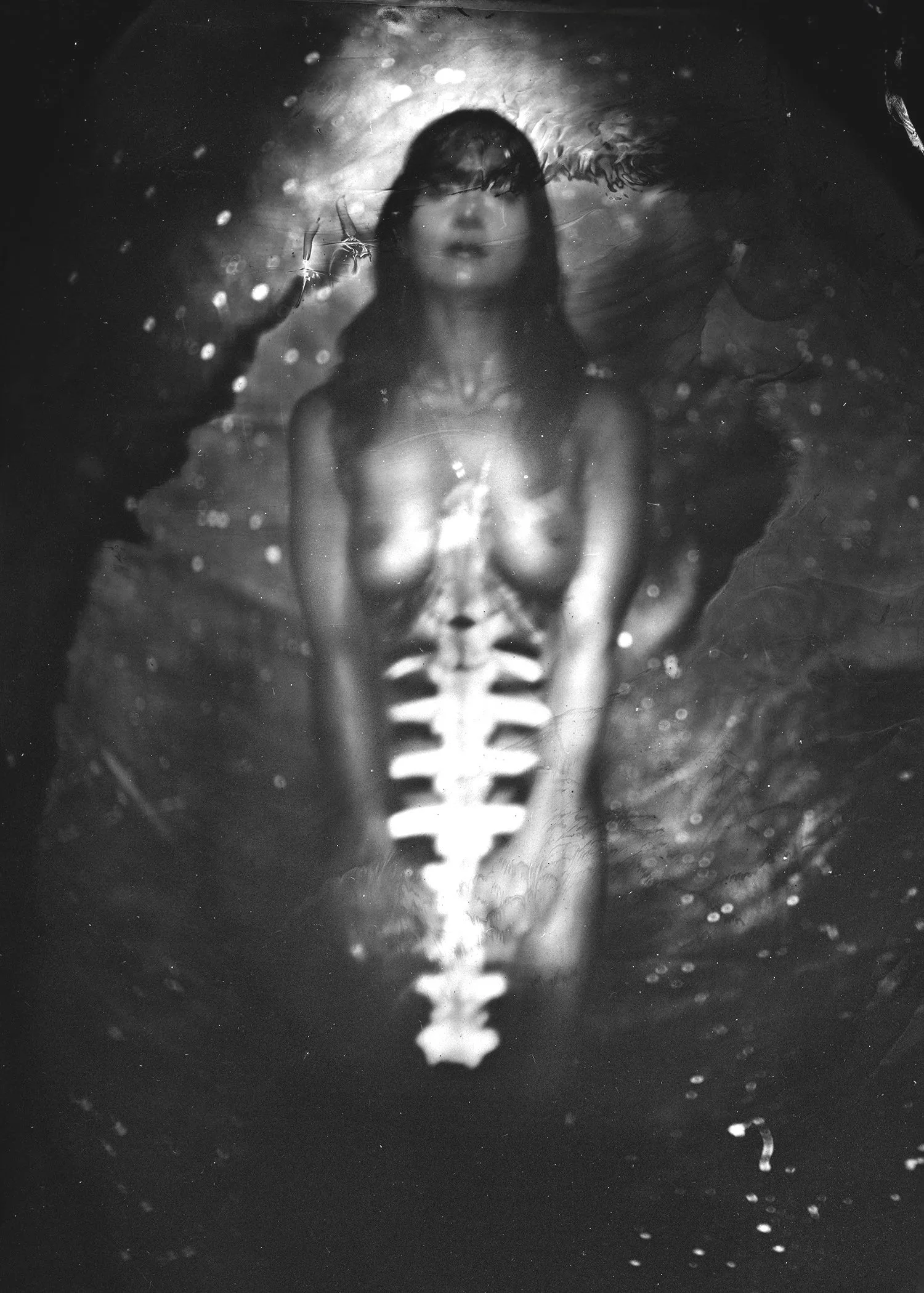 TylarAvry#1 copy.jpg