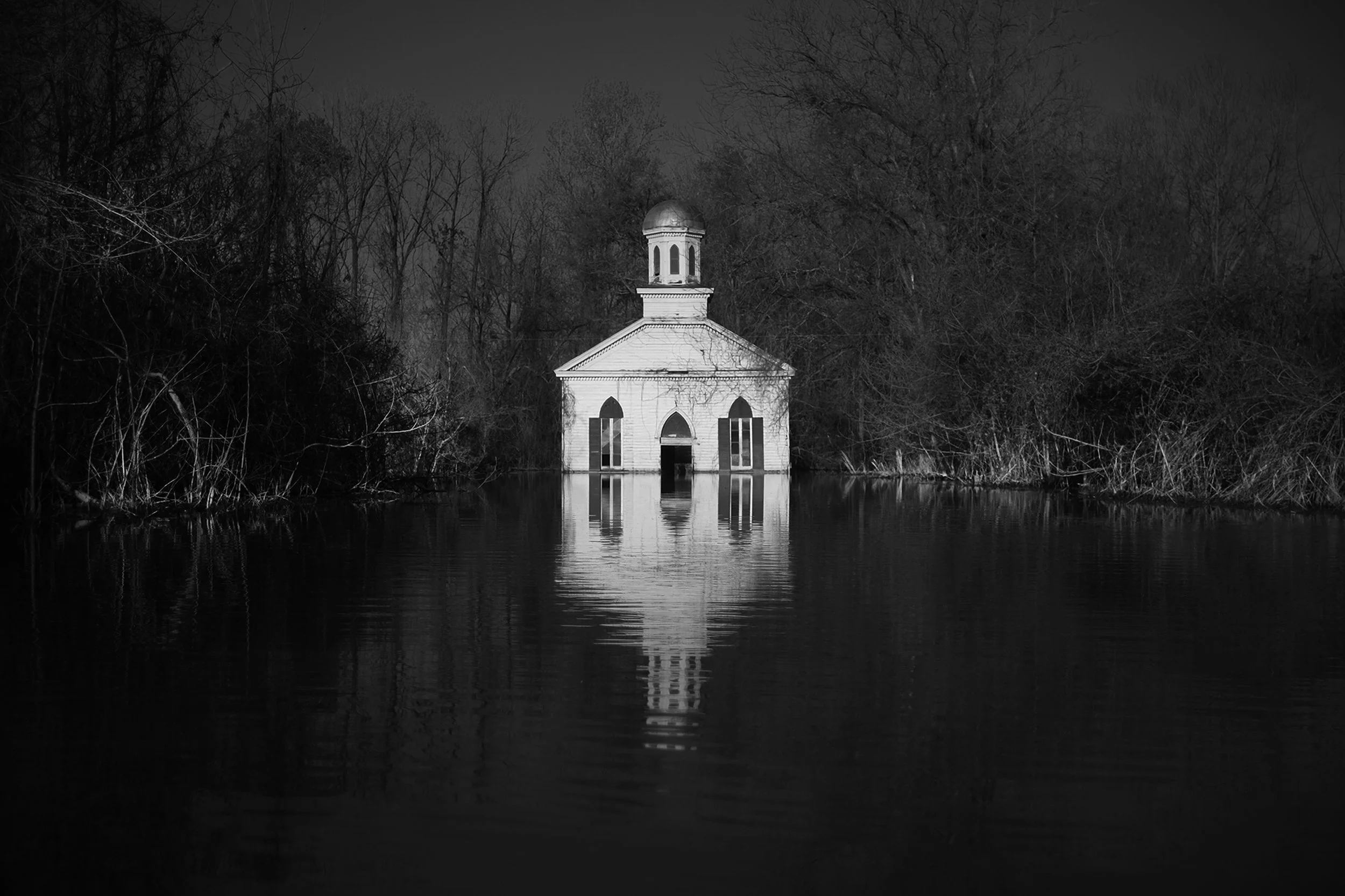  8X12 NATURE vs NUTURE (DAWN).jpg