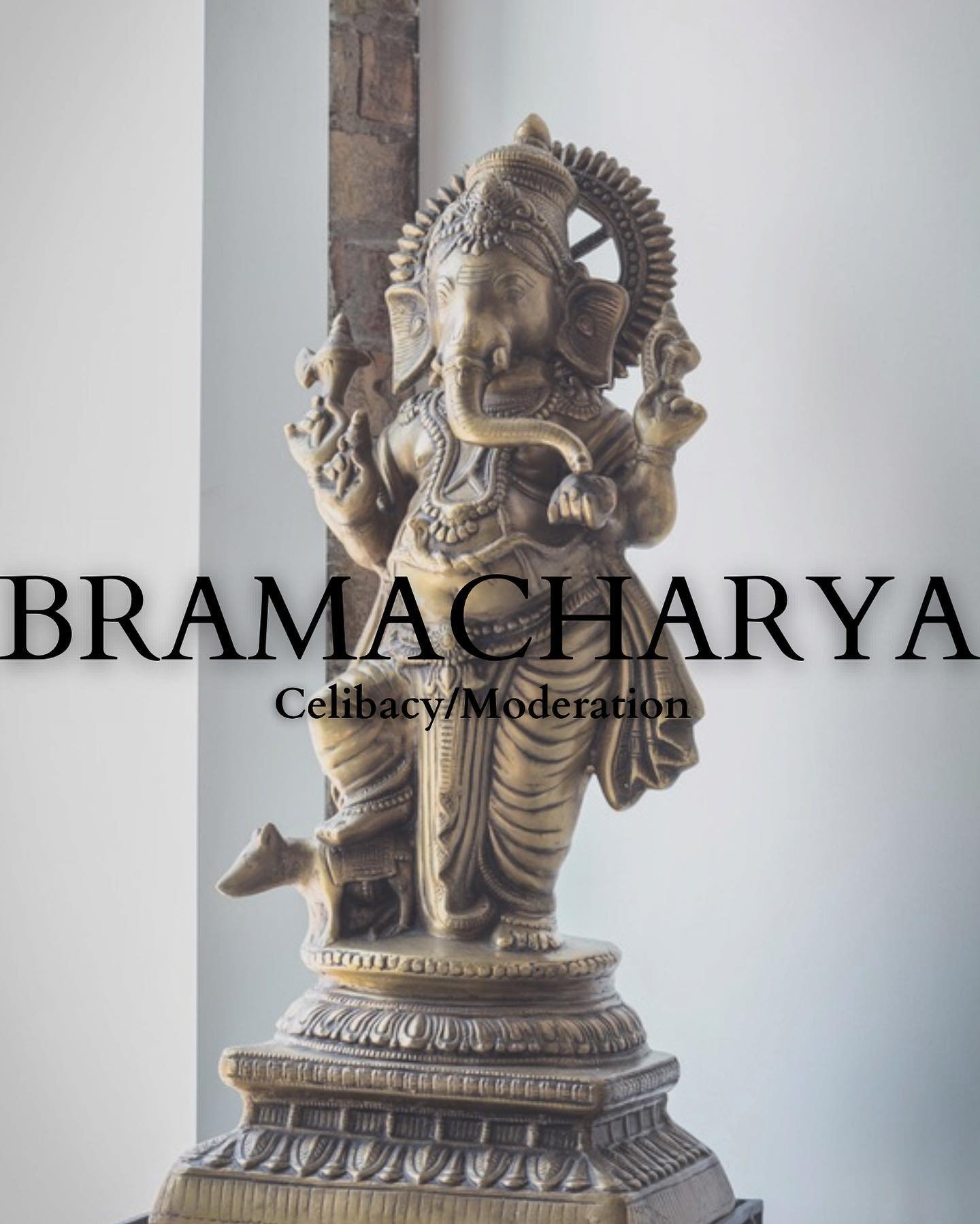The 4th Yama is Bramacharya. 

Bramacharya in the most traditional sense is celibacy. However, when viewing the Yamas and the Niyamas through our modern lenses, we can understand it as moderation or self-restraint. 

Many will still take this Yama in