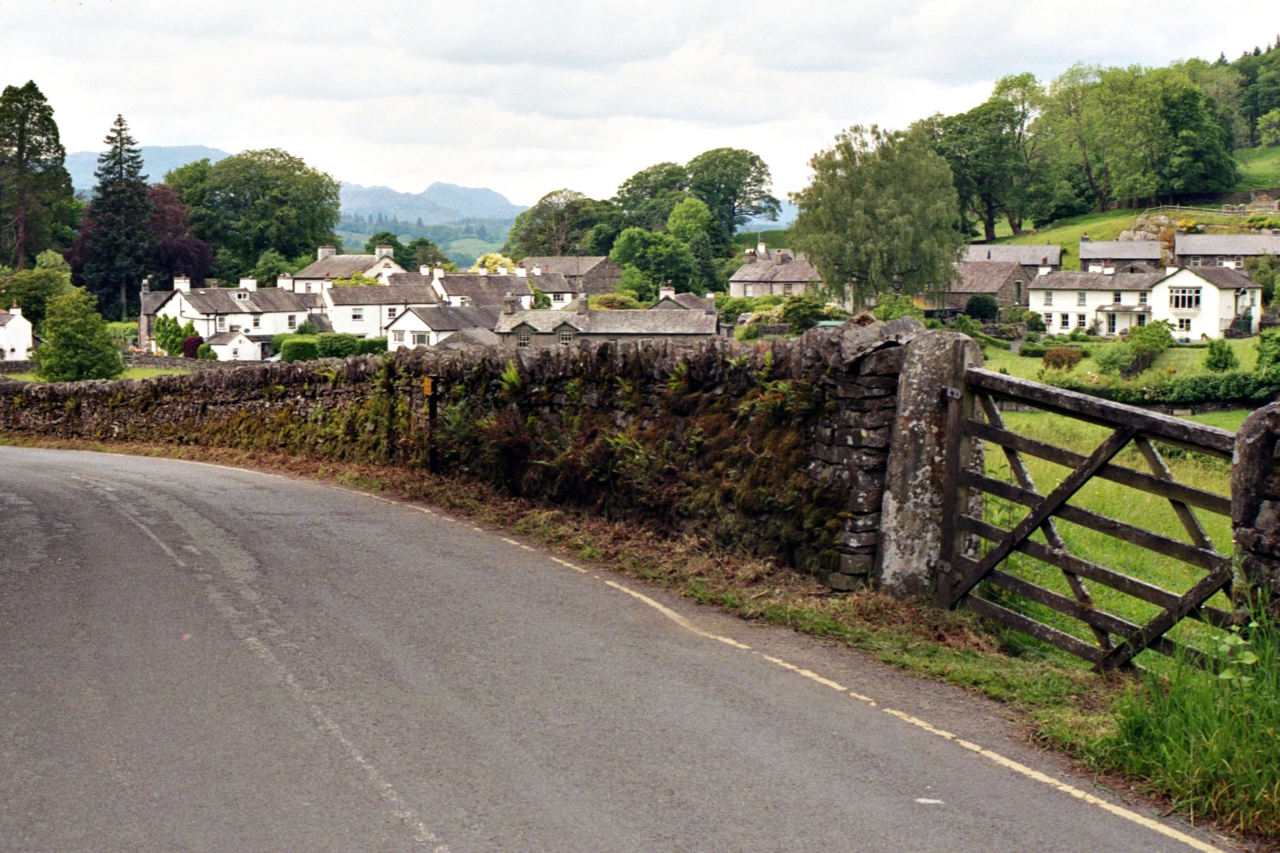 img20220619_16291555.jpg