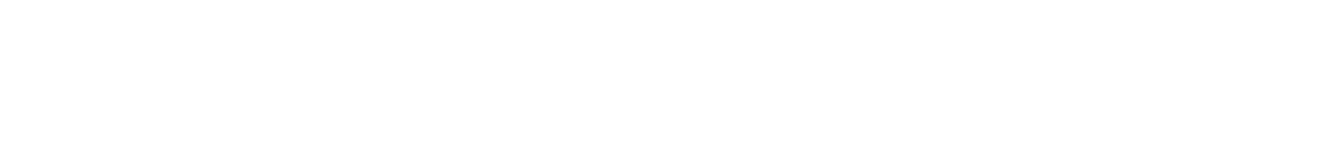 Vanguard Valet