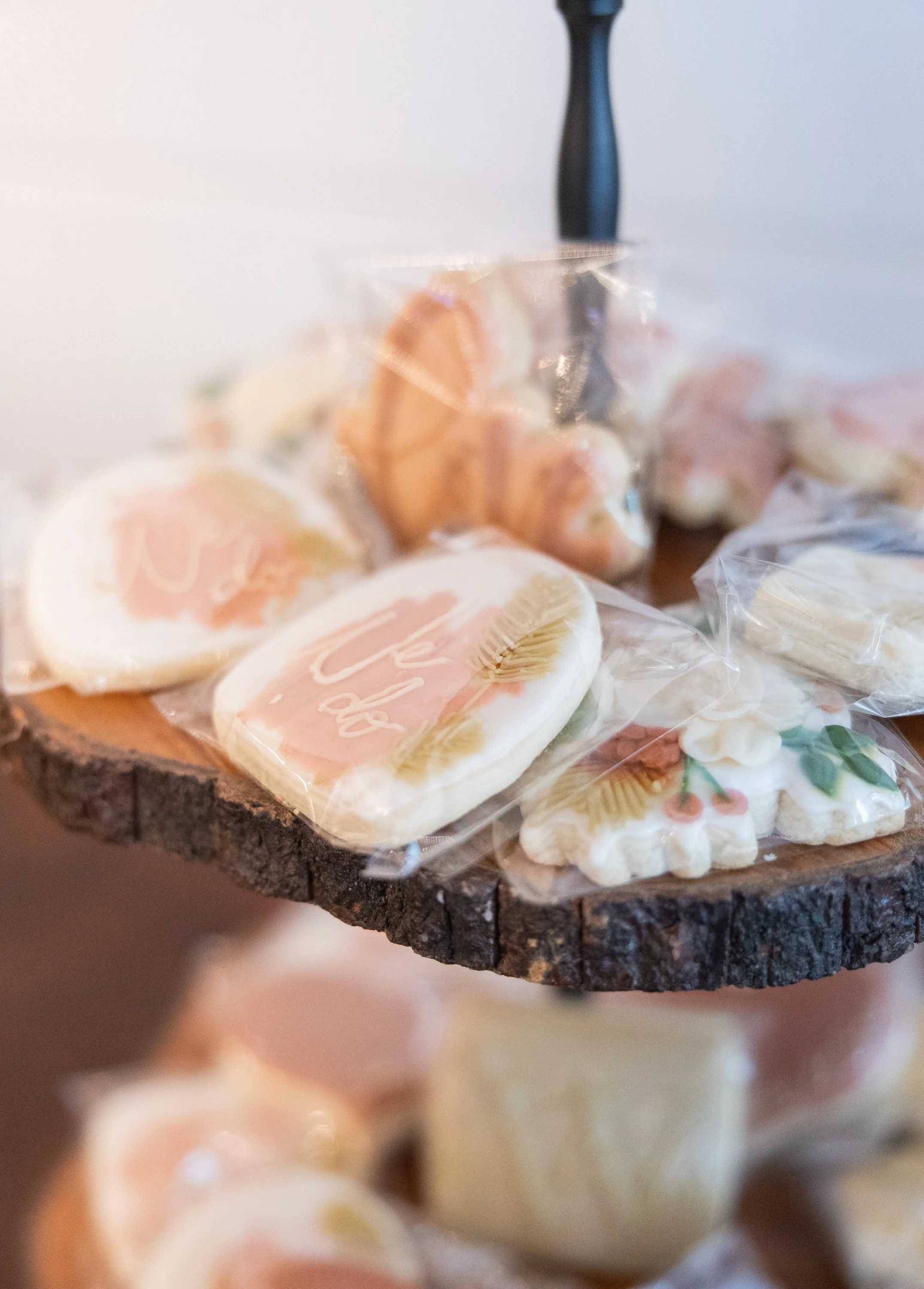 High_Point_Farms_Rachel_Levine_Photography (37).jpg
