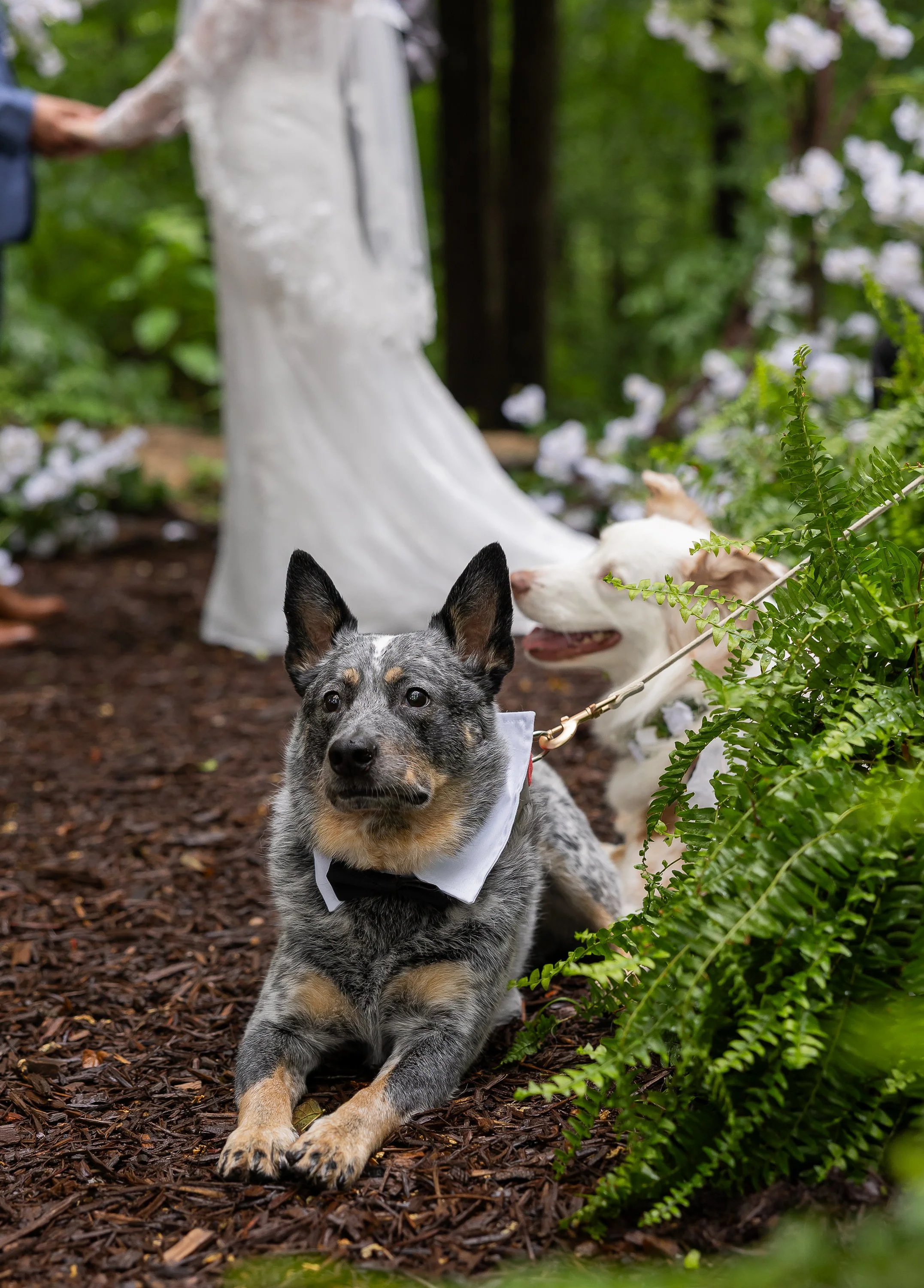 High_Point_Farms_Effortless_Wedding (55).jpg