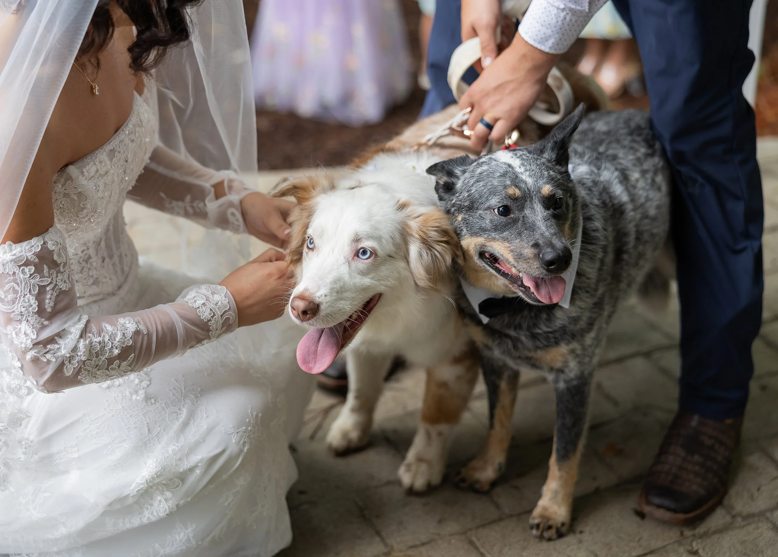 High_Point_Farms_Effortless_Wedding (109).jpg