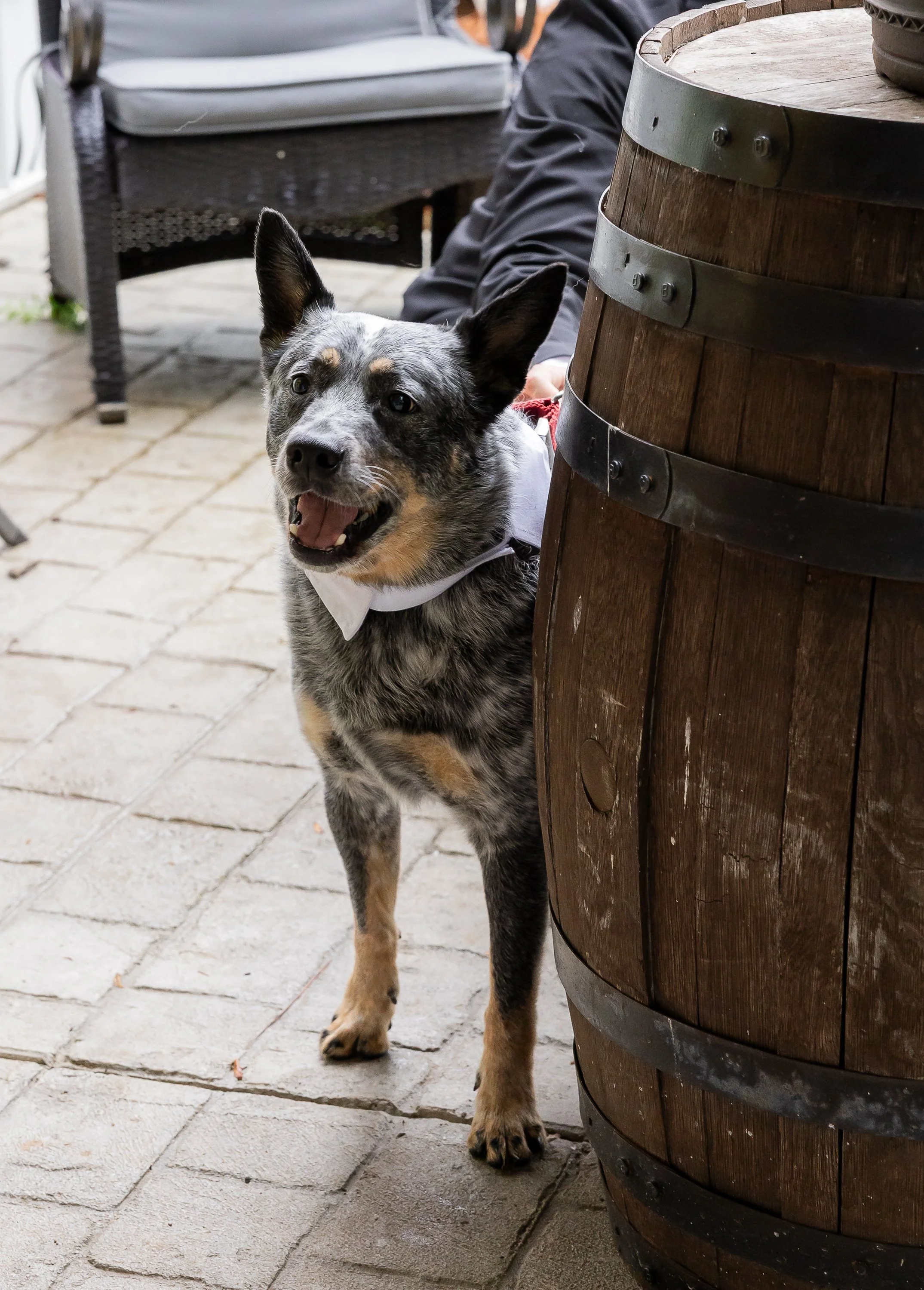 High_Point_Farms_Effortless_Wedding (14).jpg