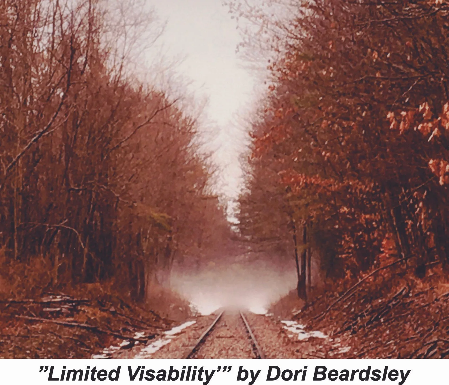 #21 Limited Visability - D. Beardsley.jpg