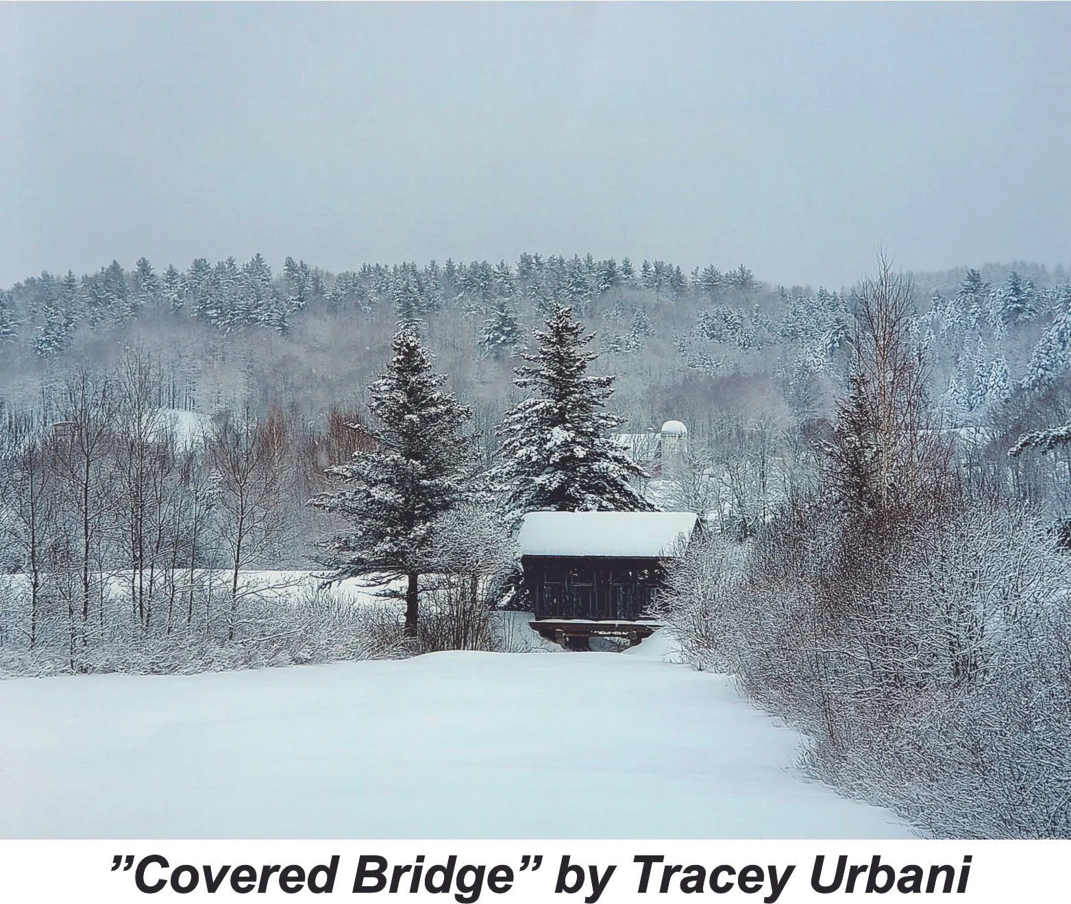 Covered Bridge by Tracie Urbani.jpg