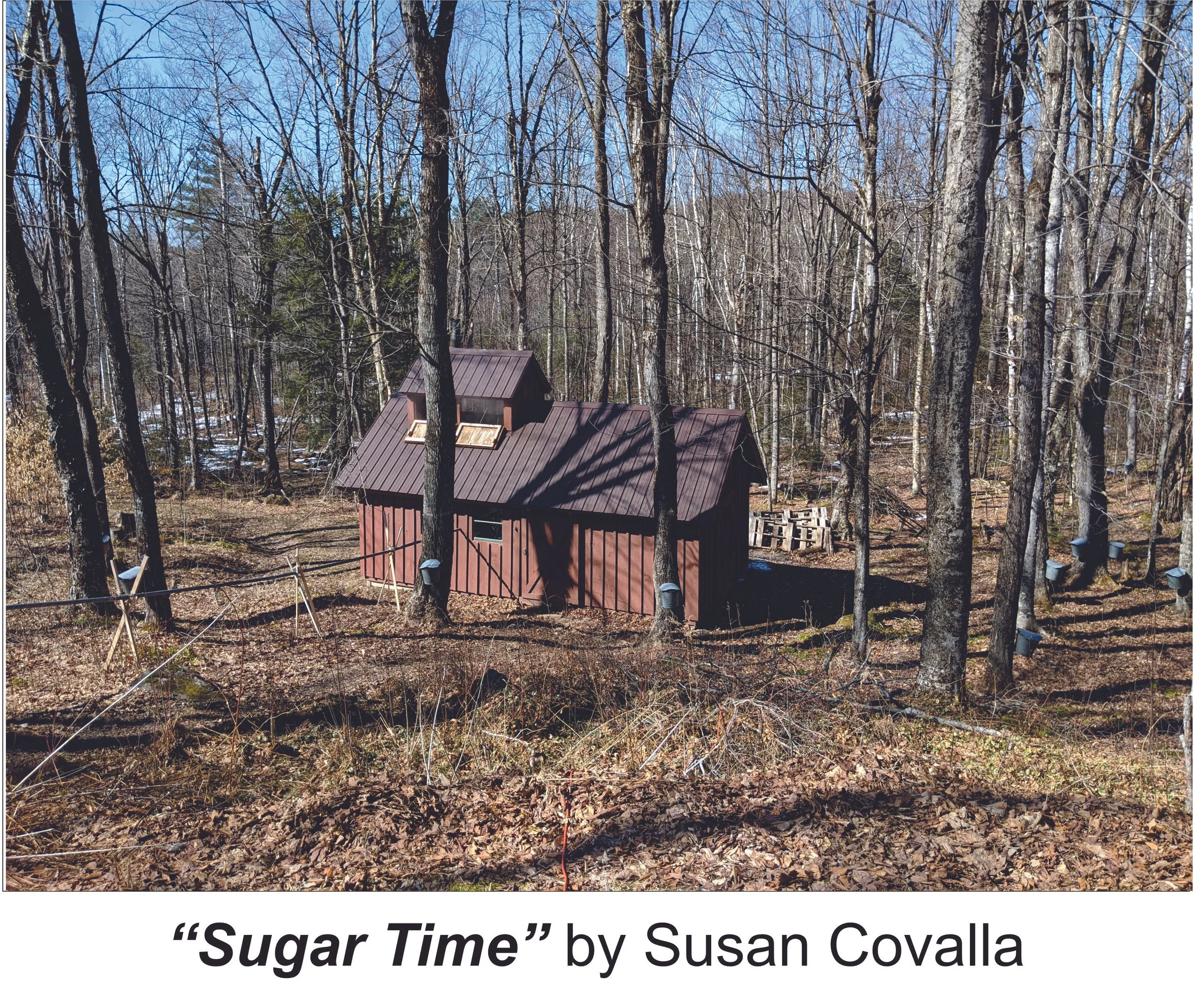 Sugar Time by Susan Covalla (1).jpg