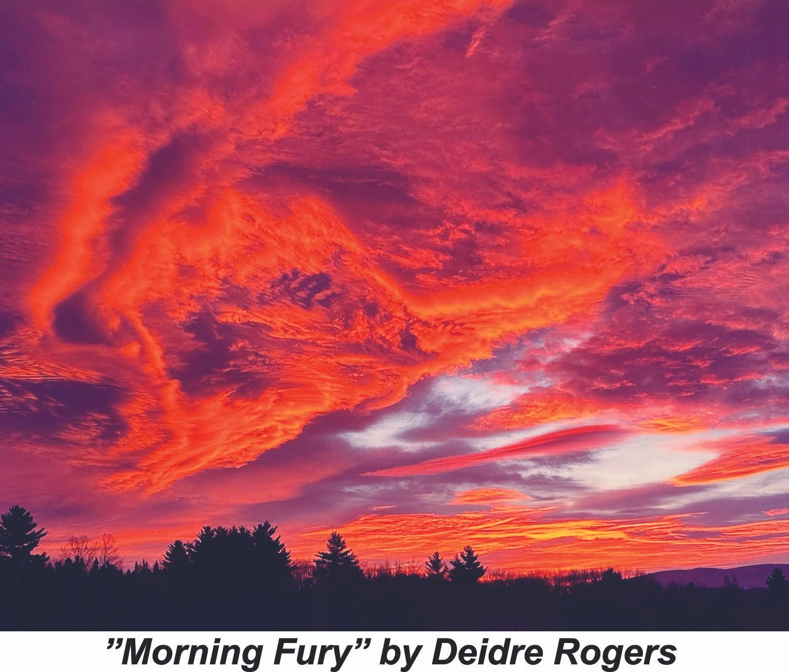#66 Morning Fury - D. Rogers.jpg
