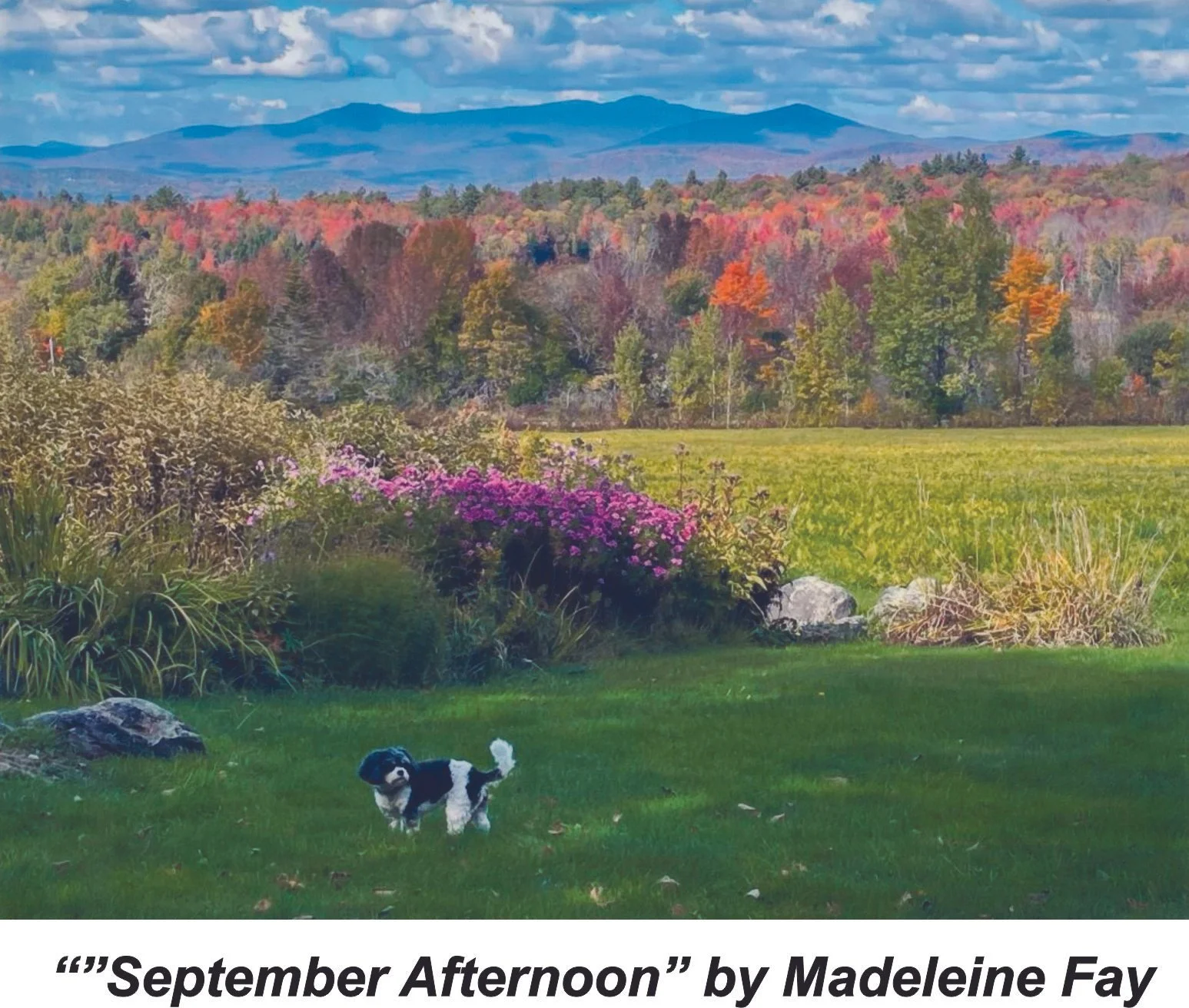September Afternoon by Madeleine Fay.jpg