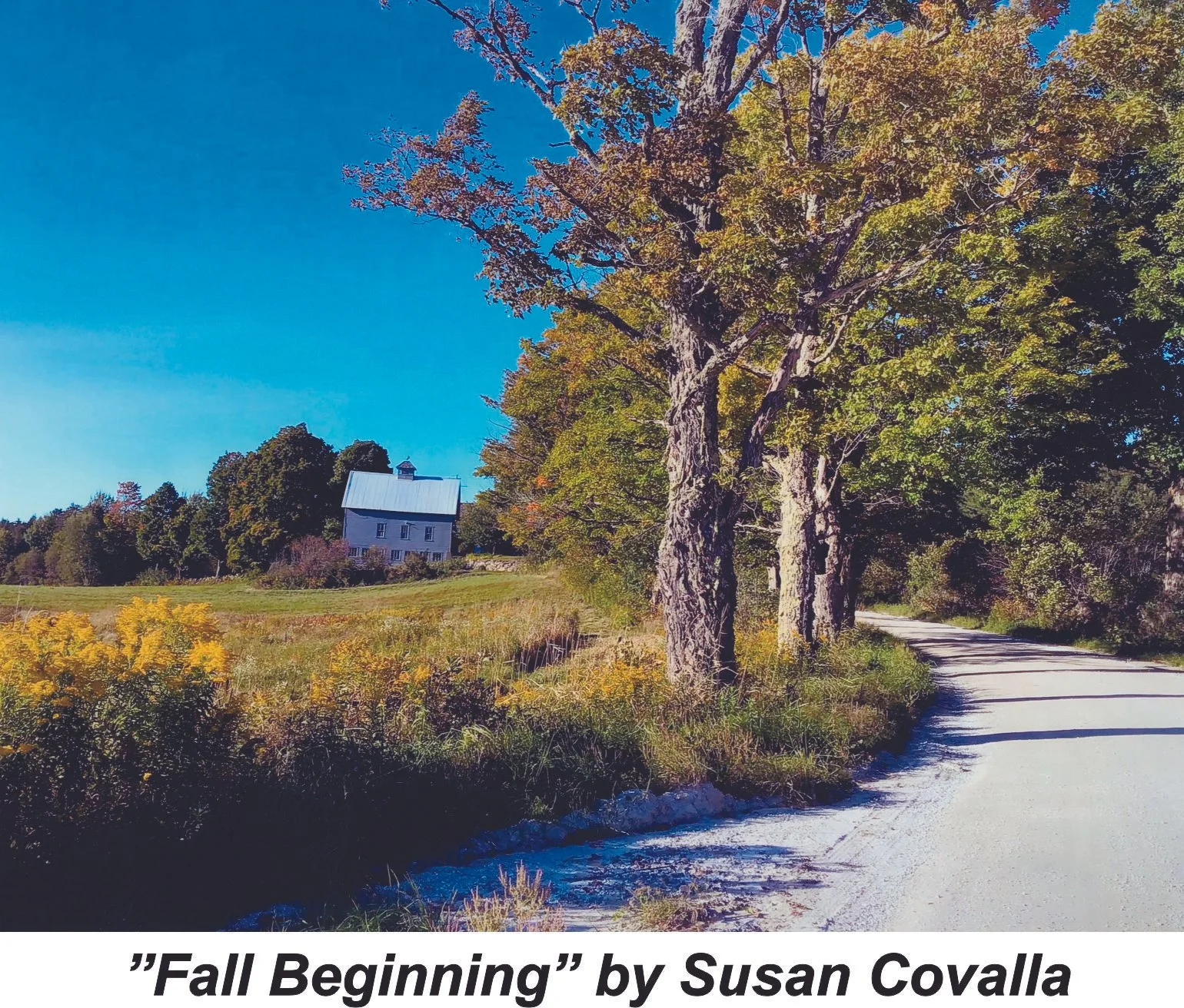 Fall Beginning by Susan Covalla.jpg