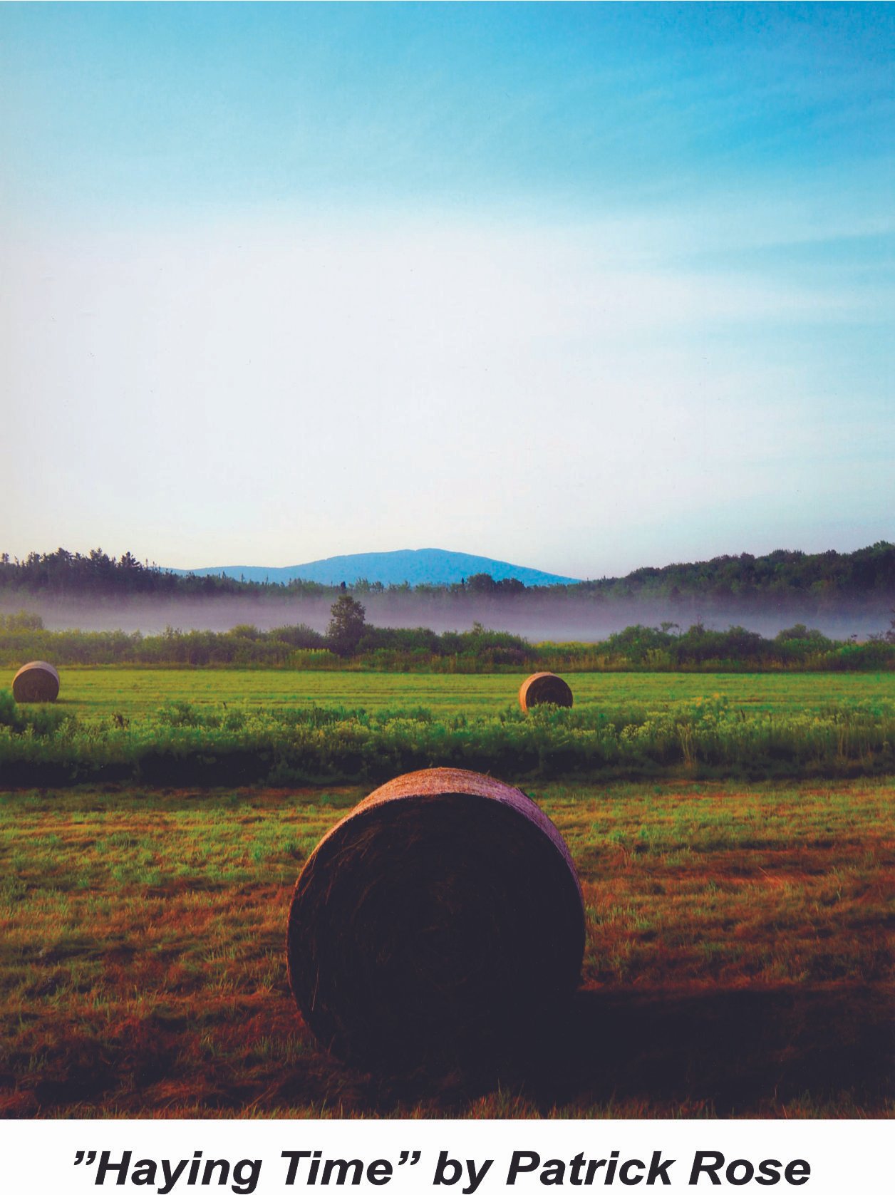 #18 Hayig Time - Patrick Rose Vertical.jpg