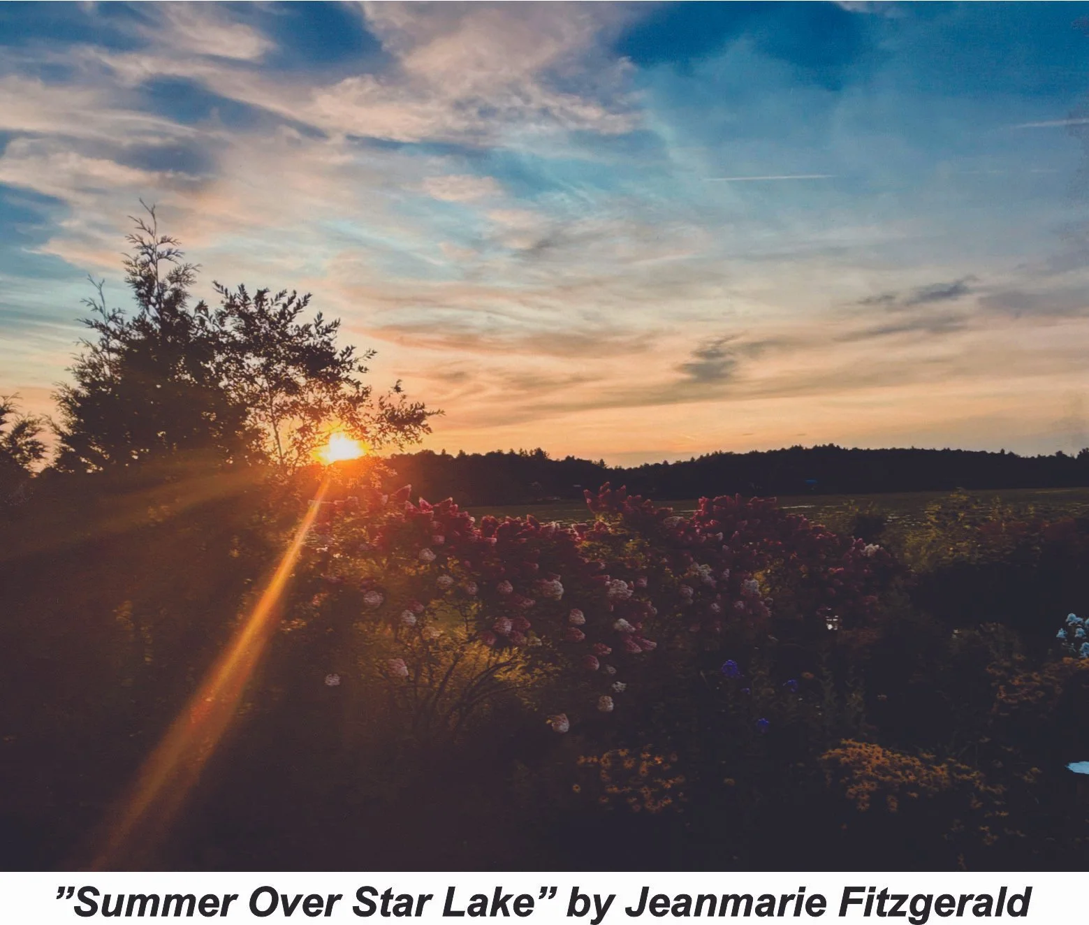 #40 Summer Over Star Lake - J. Fitzgerald.jpg