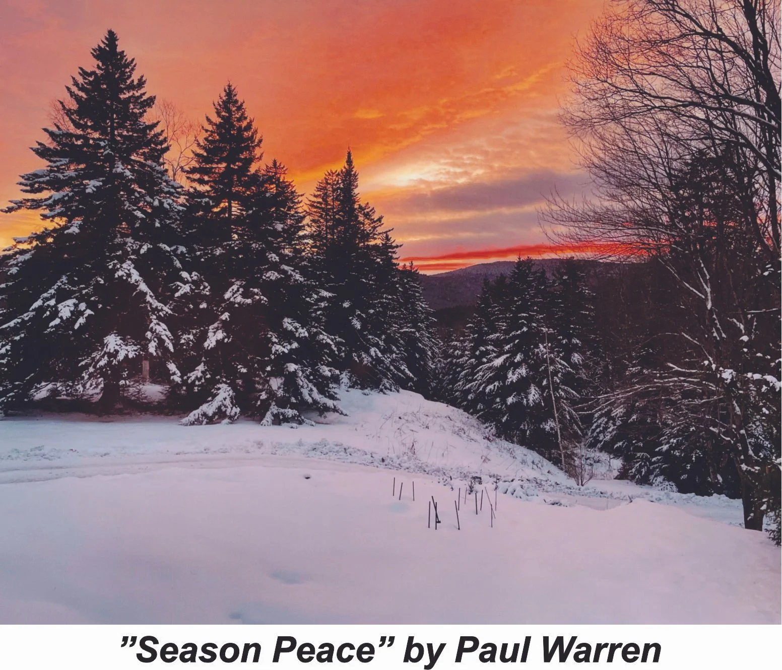 #37 Season Peace - Paul Warren.jpg
