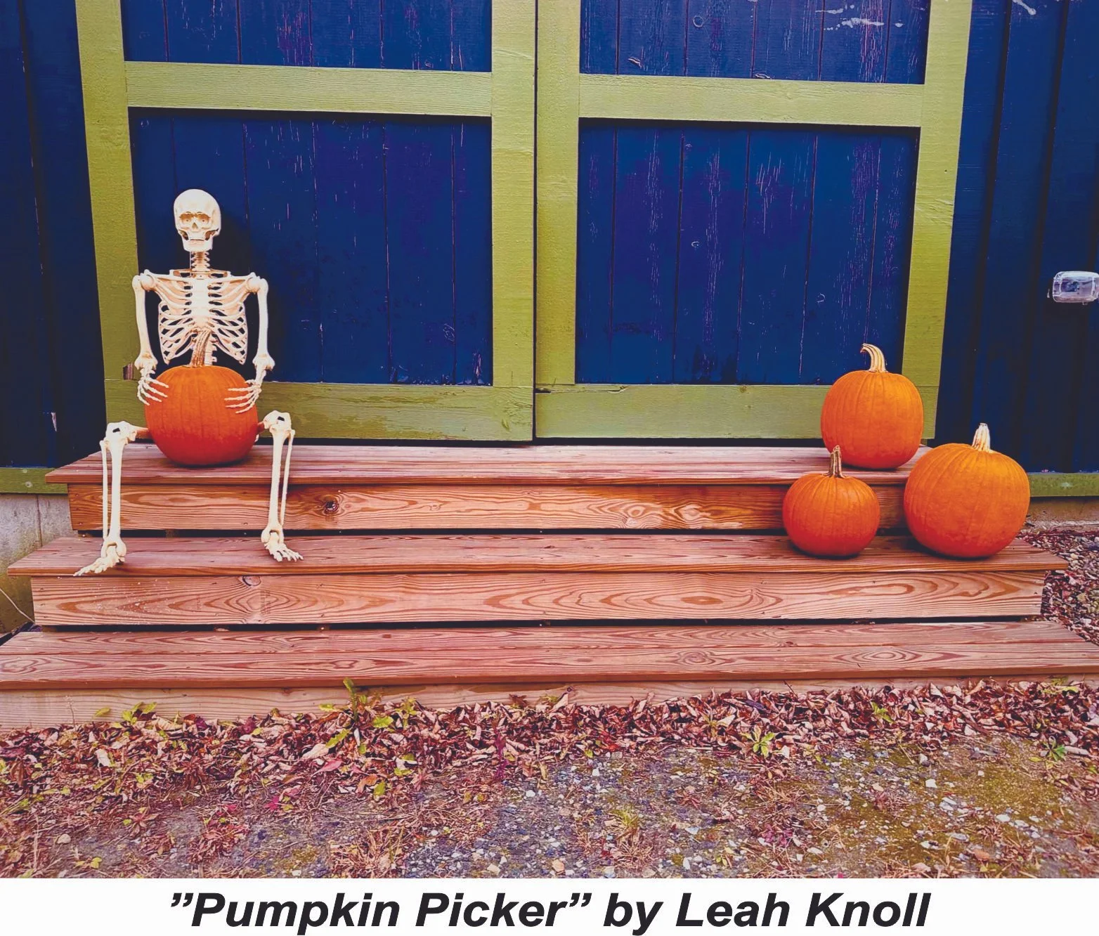 #34 Pumpkin Picker - Leah Knoll.jpg