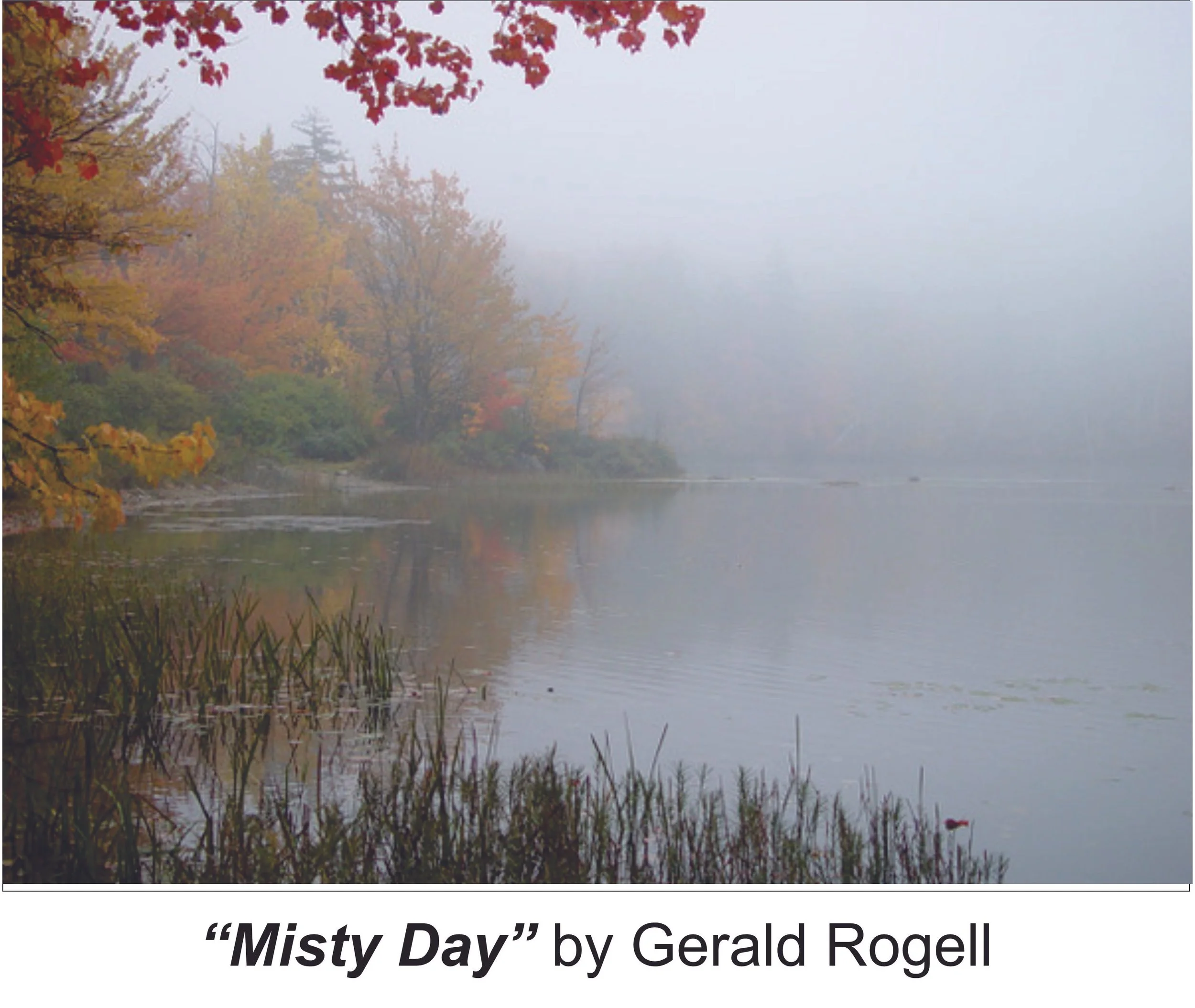 Misty Day by Gerald Rogell (1).jpg