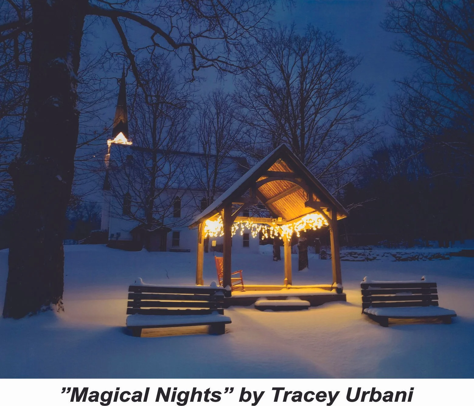 #32 Magical Nights - Tracey Urbani.jpg