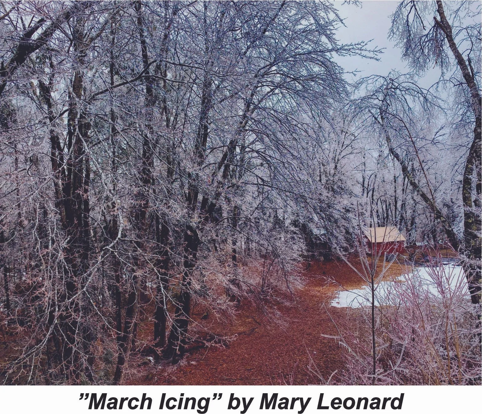 #73 March Icing - Mary Leonard.jpg