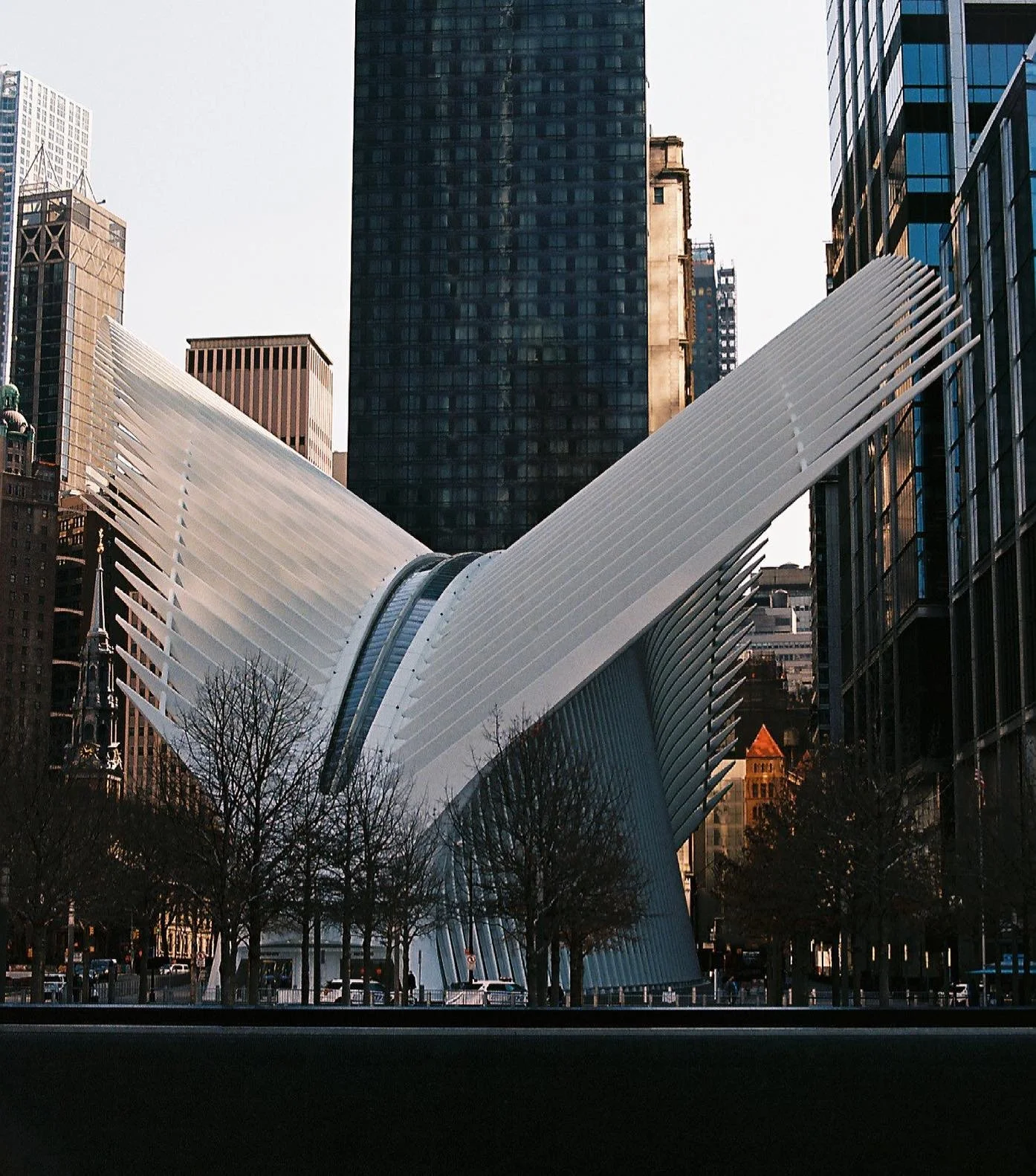 the Oculus
.
.
.
.
.
.
.

#newyork #newyorkcity #newyorker #newyork_instagram #newyorknewyork #ilovenewyork #newyork_ig #newyorklife #topnewyorkphoto #timeoutnewyork #newyorkart #newyorkphotographer #upstatenewyork #newyorkstateofmind #newyorkstyle #