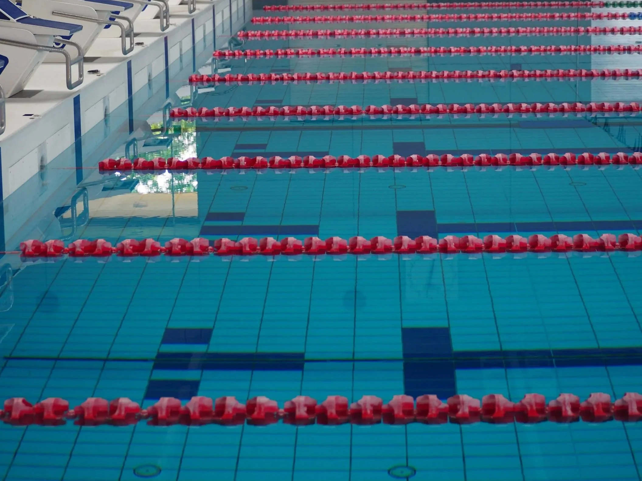 Picture of a swimming pool with lanes marked ready for a race.