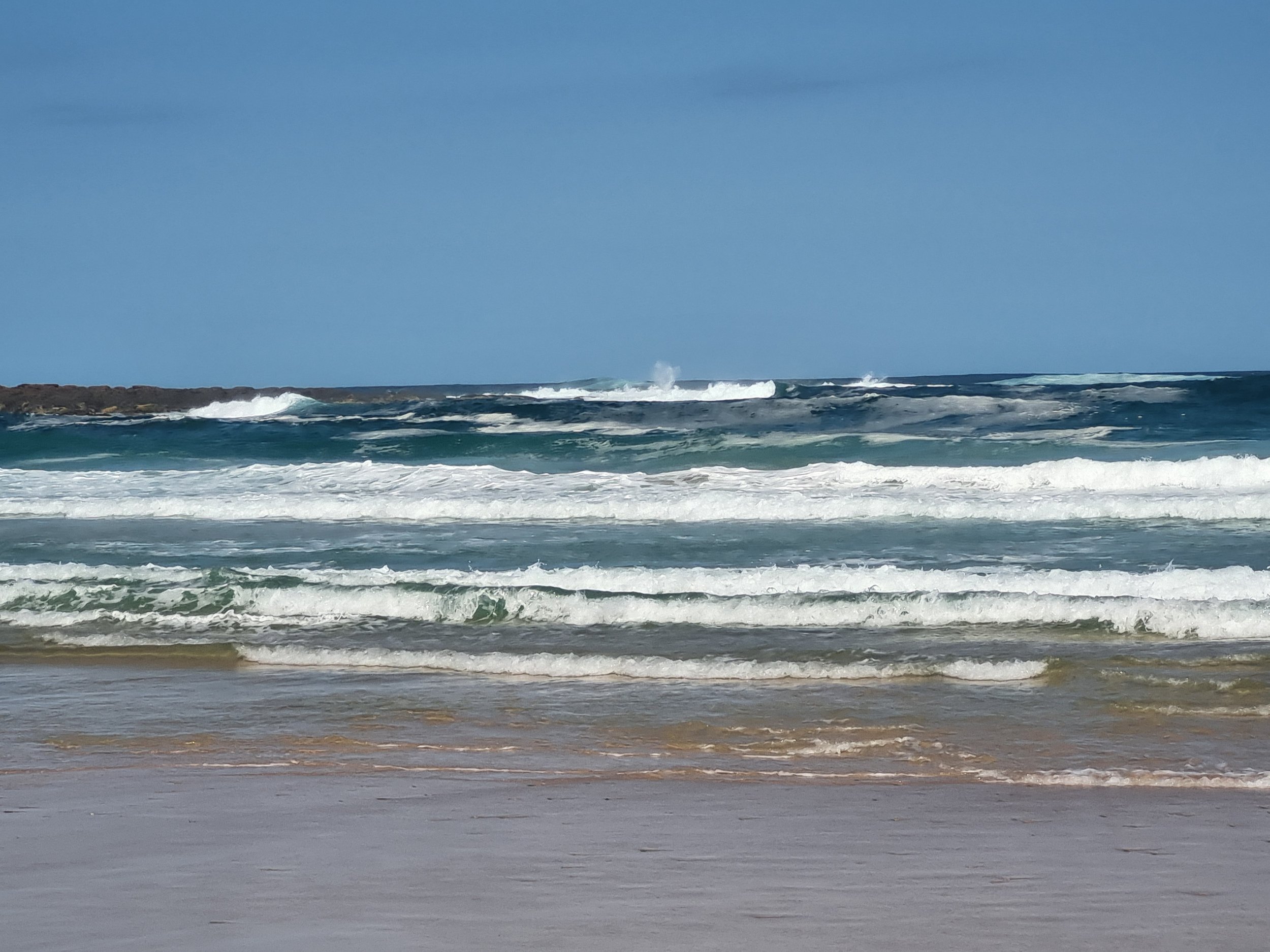 Sun, Surf and Struggles