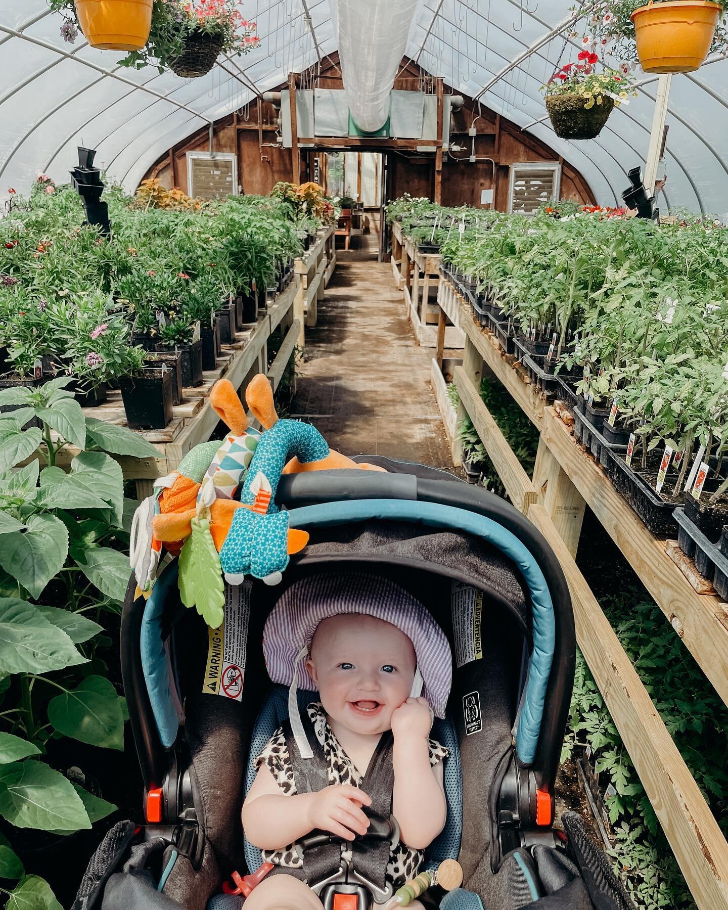 Saturday mornings call for a trip to the Nursery to stock up on veggies and flowers for the garden.

Last year I grew EVERYTHING from seed, clearly there&rsquo;s no time for that this year 🌶 😂

For anyone local to the area, Beck&rsquo;s Nursery had