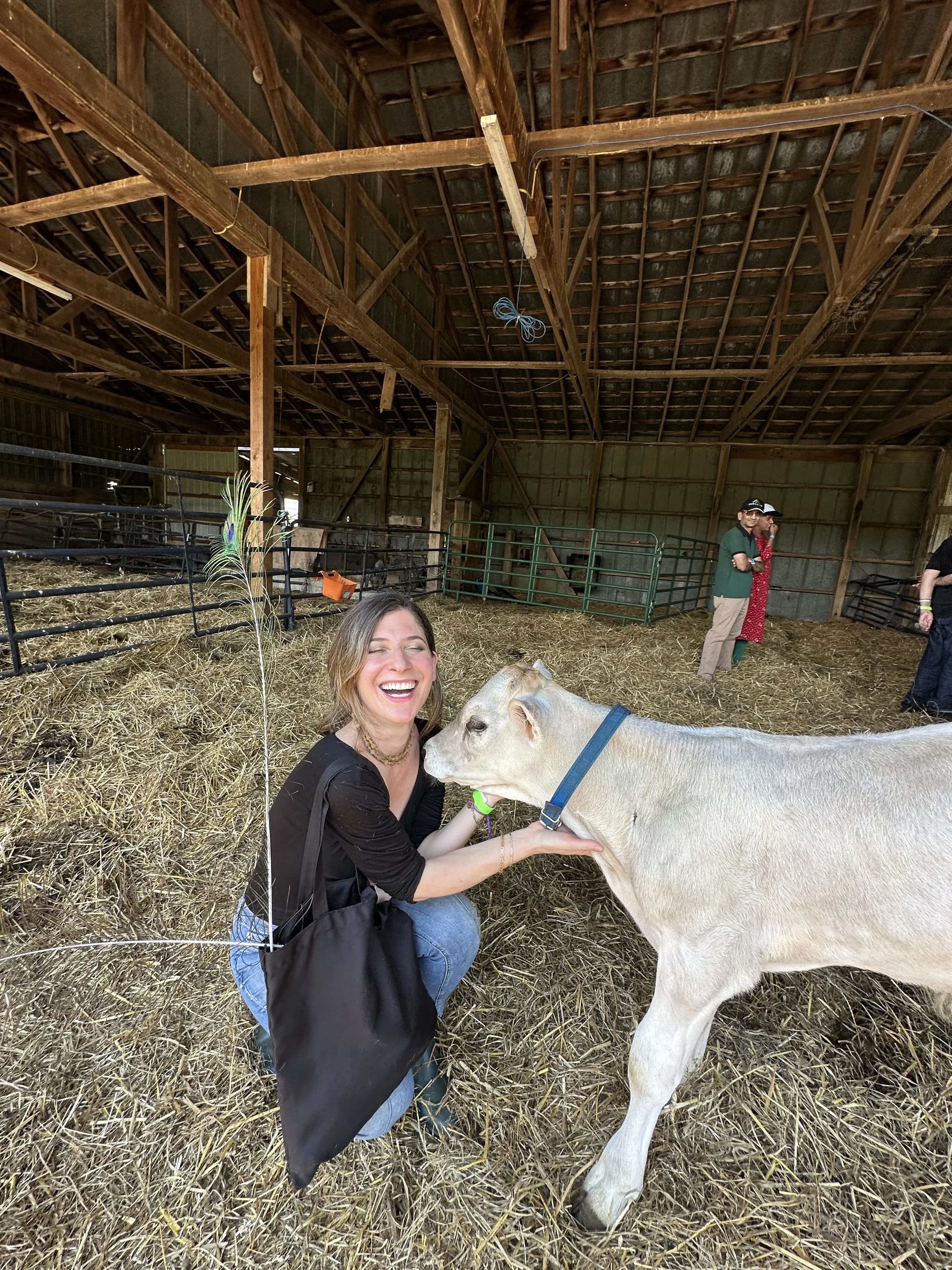 A woman kneeling and smiling while petting a white calf in a barn with straw on the ground and wooden beams overhead. User experience design and product designer from New York City