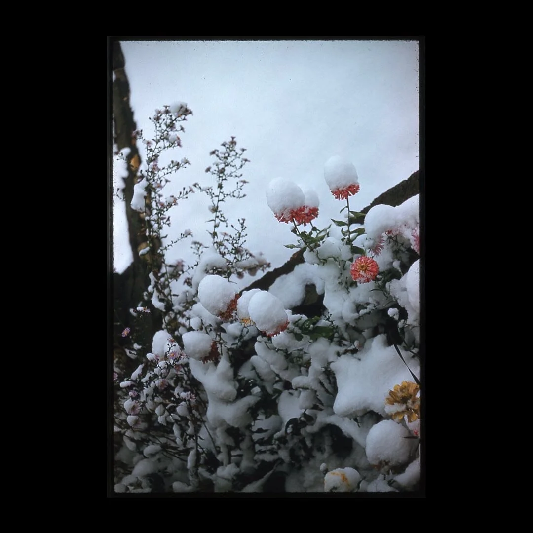 in honor of Portland finally getting snow, I wanted to share the next lil batch of slides from my current project &mdash; from the snowy category! I don't have as much information on these as I did for the horizons batch, so if you recognize any of t