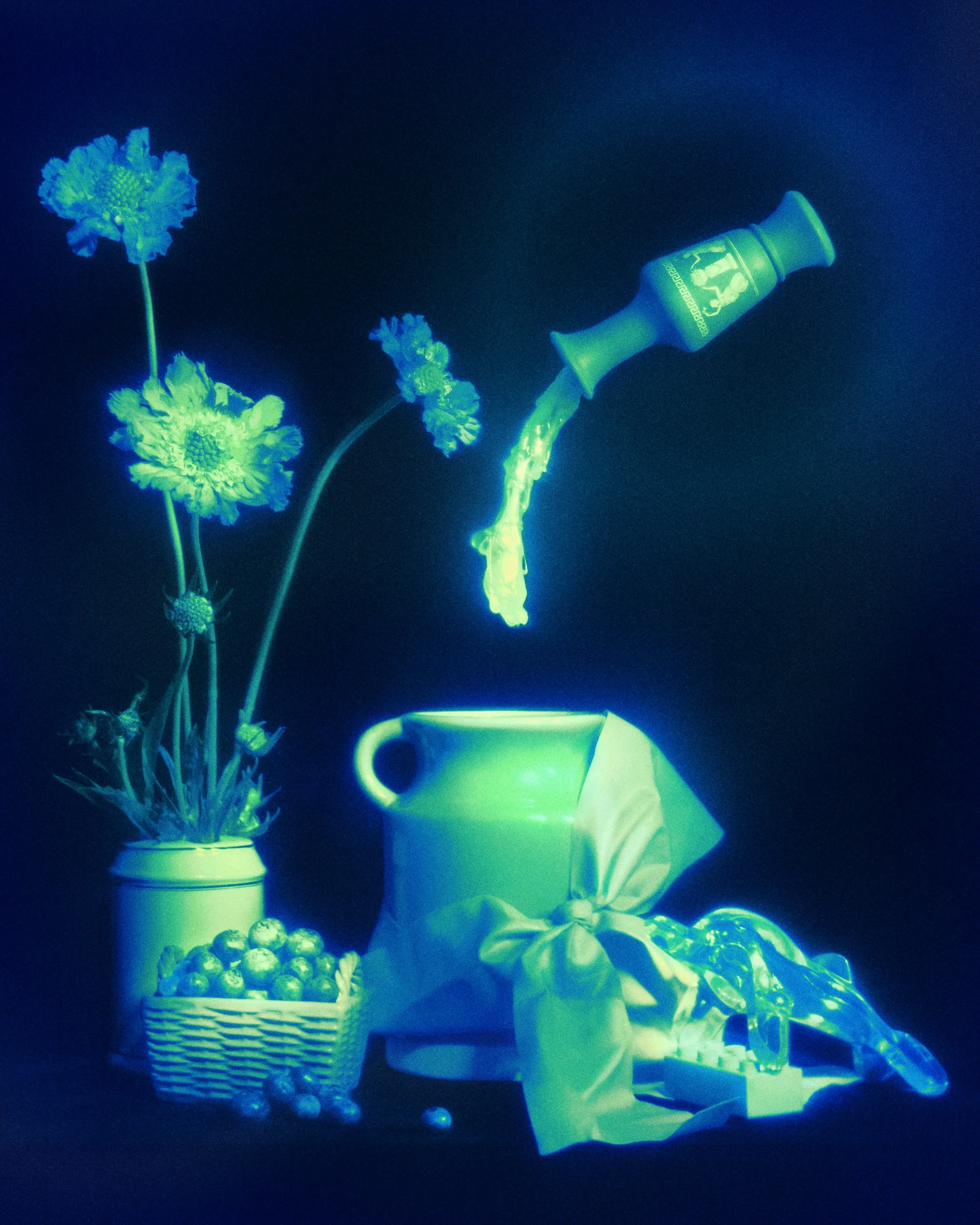 CMYK Color Study with Molly Strohl
