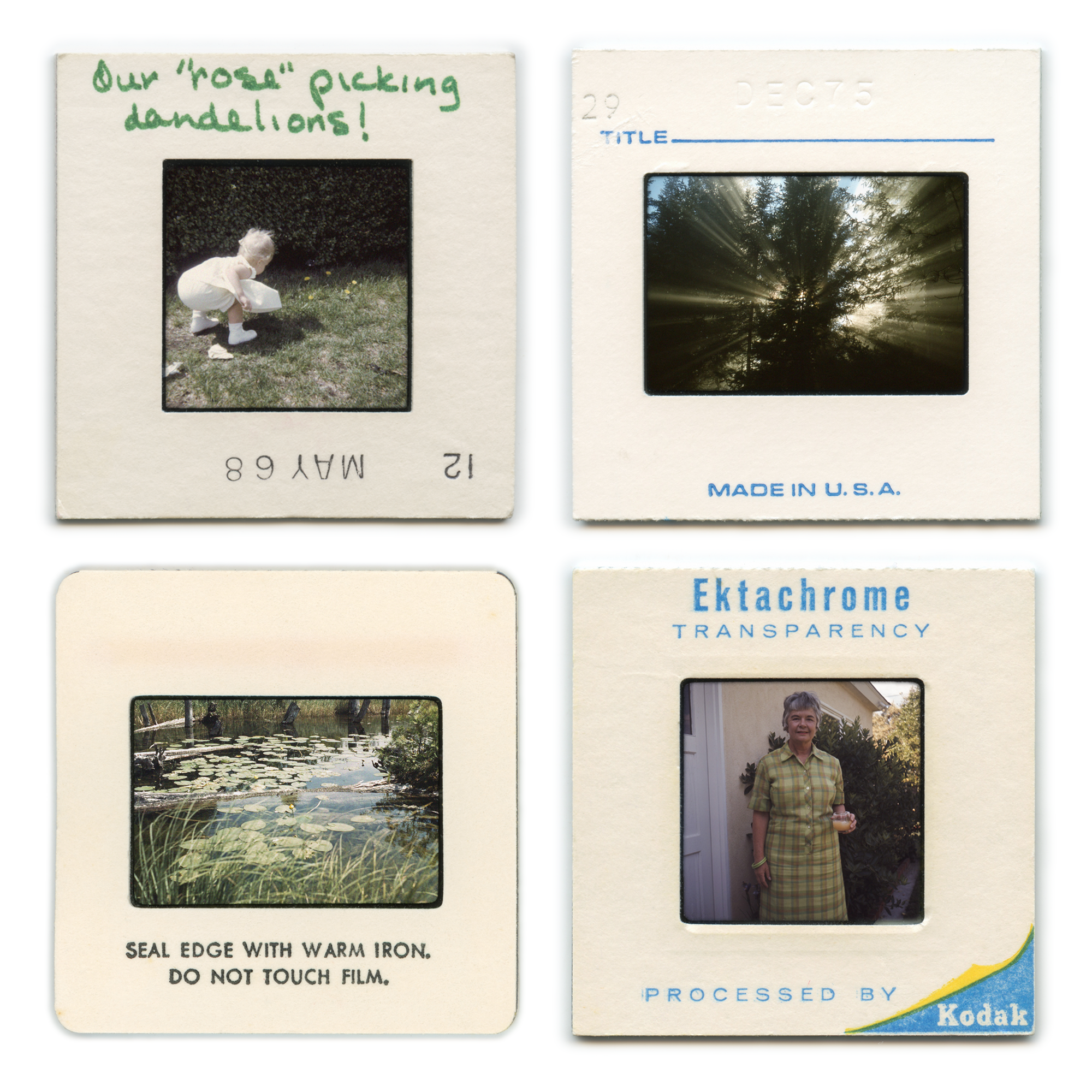 Color Study: “Green”