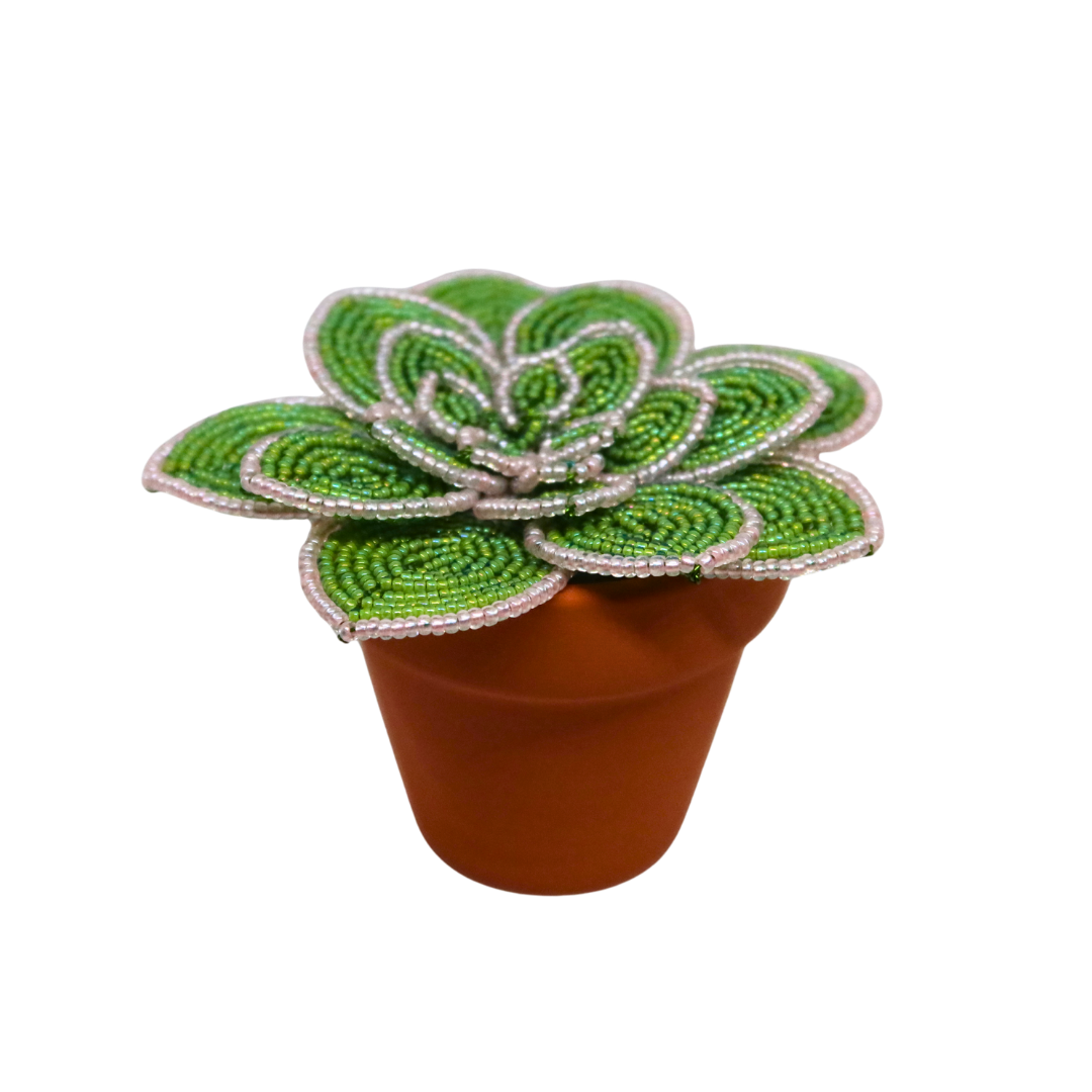 Beaded Potted Succulent