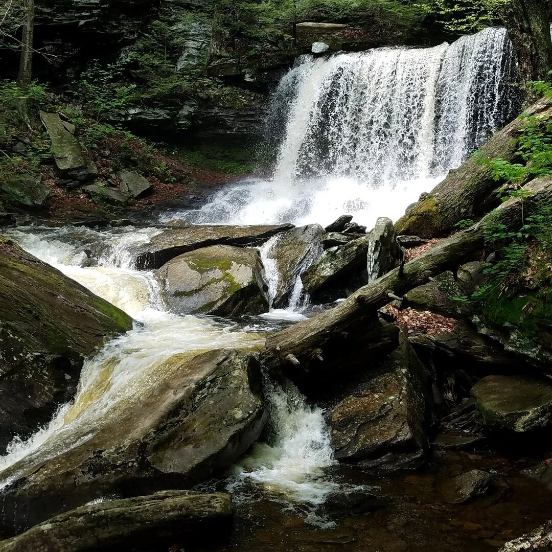 &quot;There is a hidden message in every waterfall. It says, if you are flexible, falling will not hurt you!&quot;
- Mehmet Murat ildan #waterfall #naturephotography #nature #water #memetmuratildan