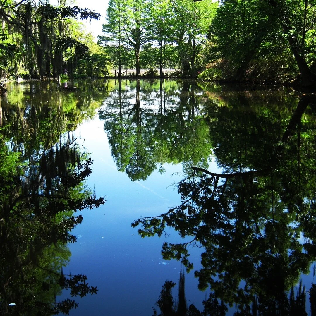&quot;South Carolina is in the spring a paradise, in the summer a hell, and in the autumn a hospital.&quot; - Eliza Lucas Pinckney #naturephotography #landscapephotography #garden #plantation #elizalucaspinckney